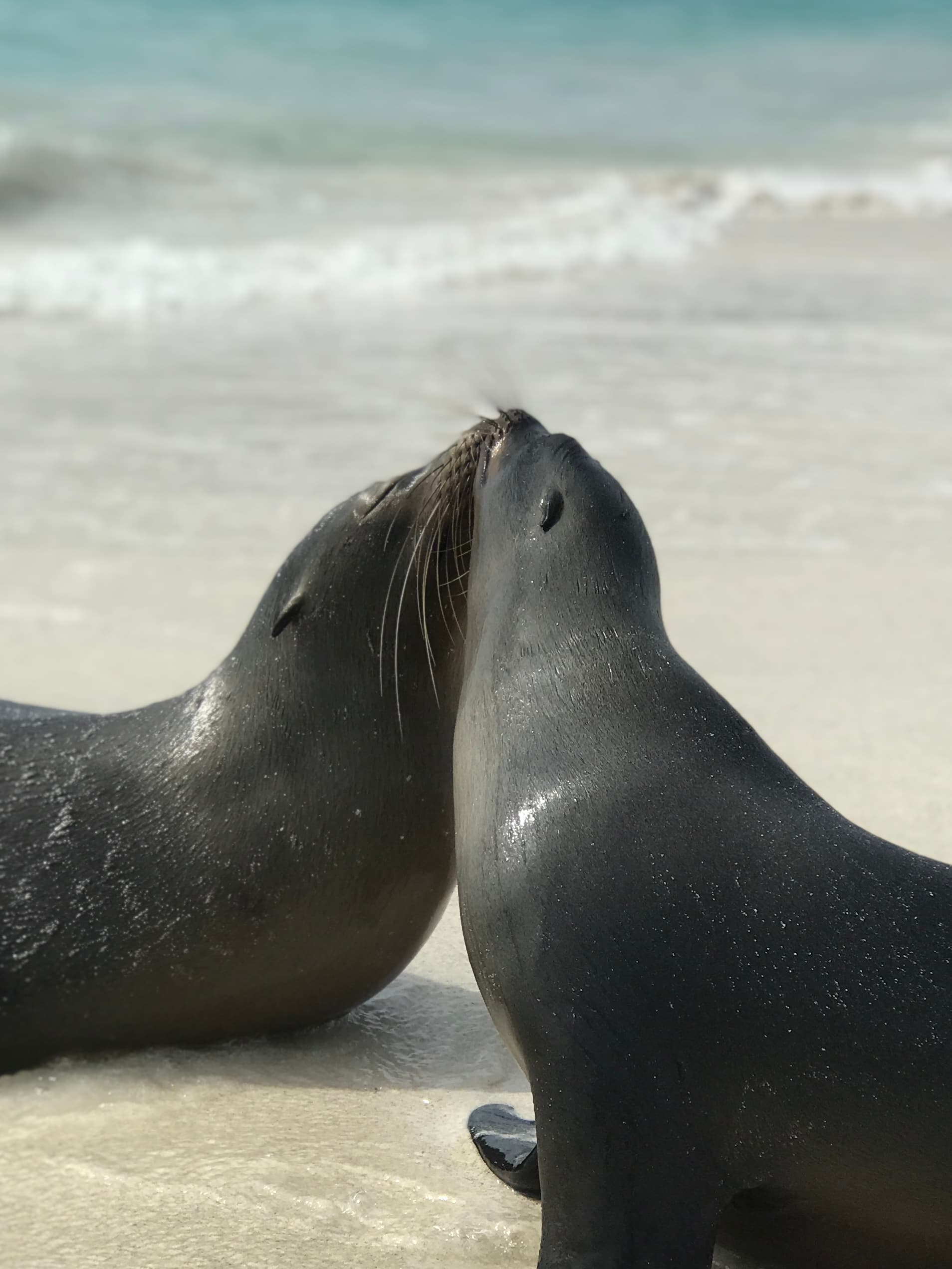 A beautiful view and sea
