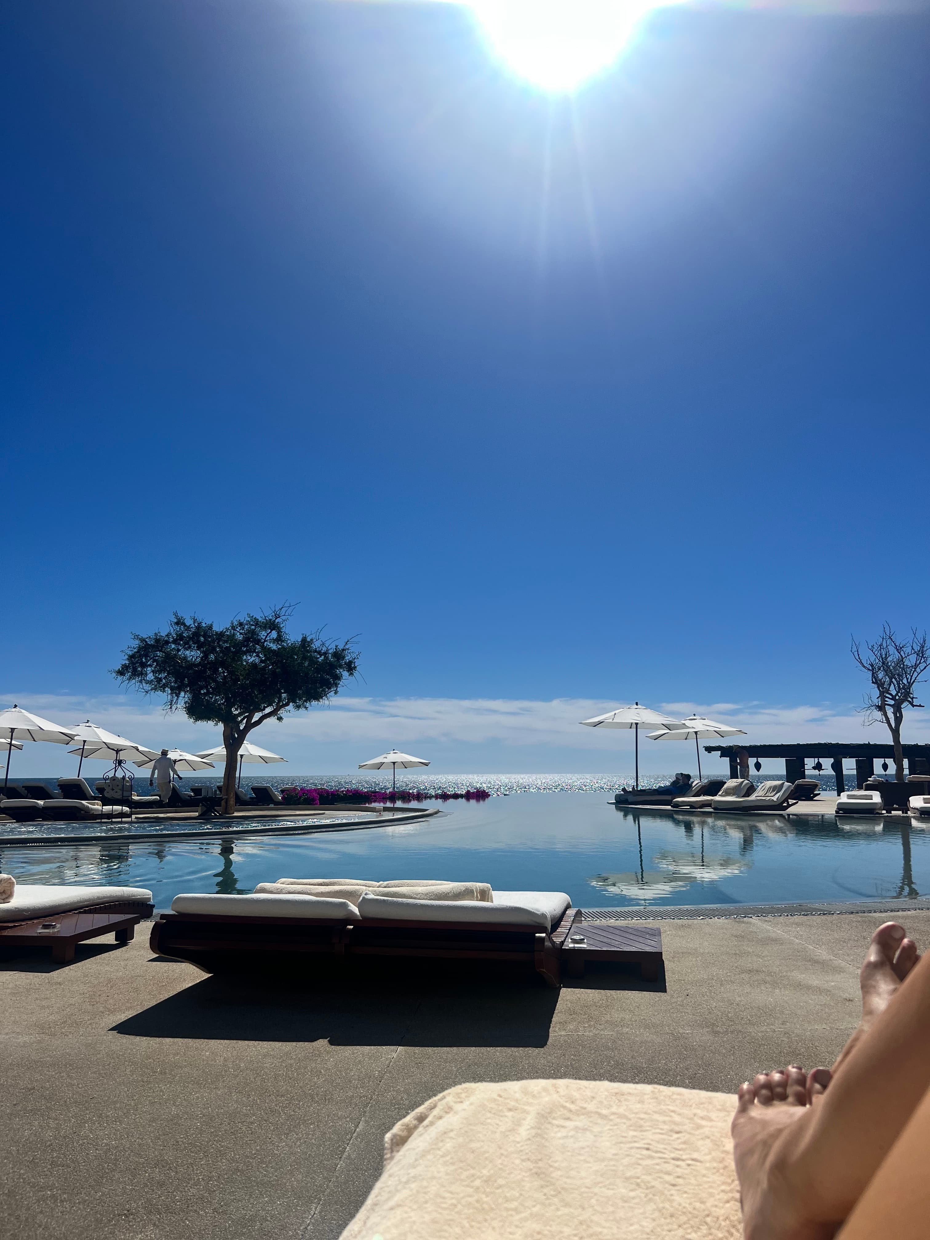 Poolside loungers with palm trees, clear skies and the golden sun in the distance.