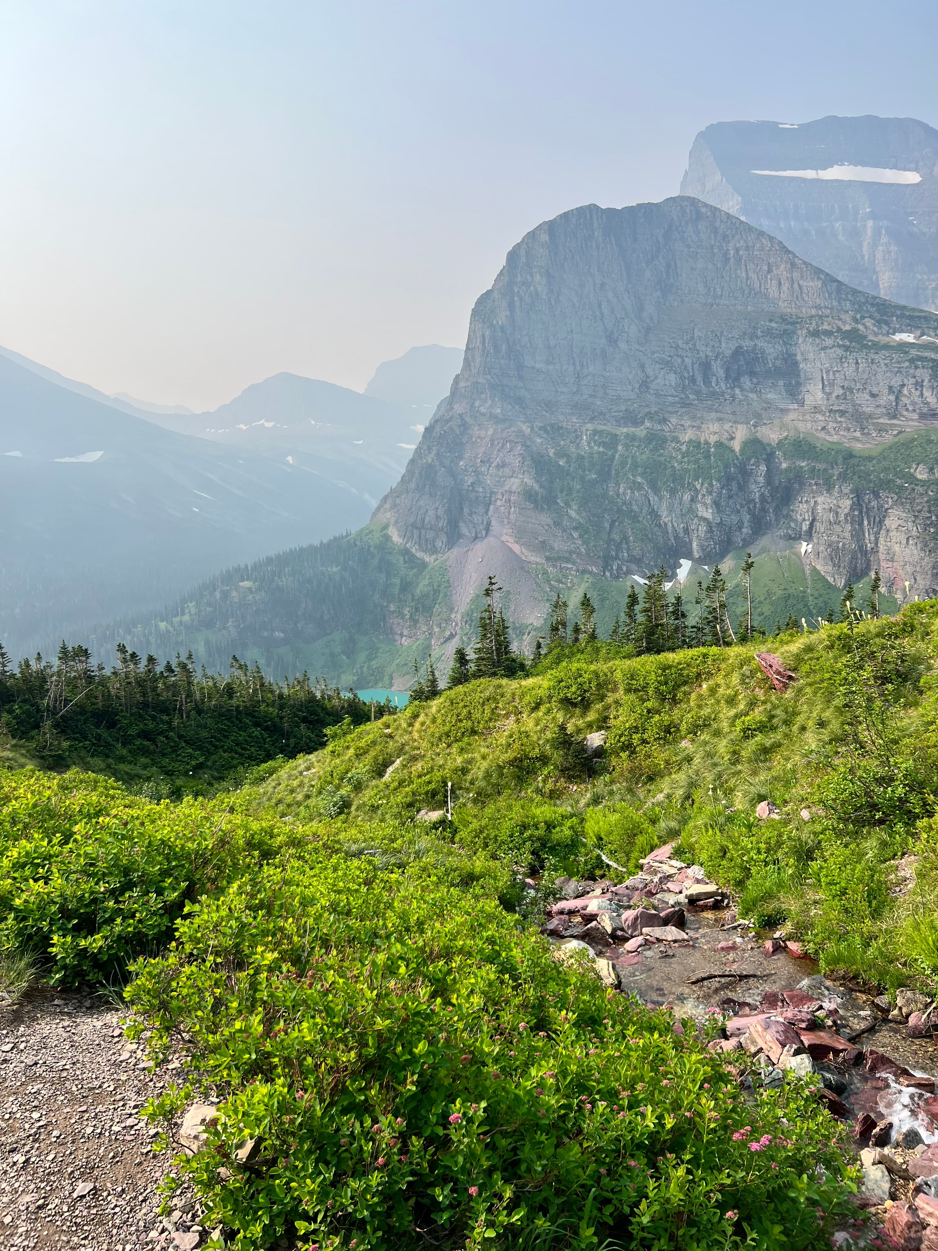 Green grass and rocks set against a big rocky mountain range