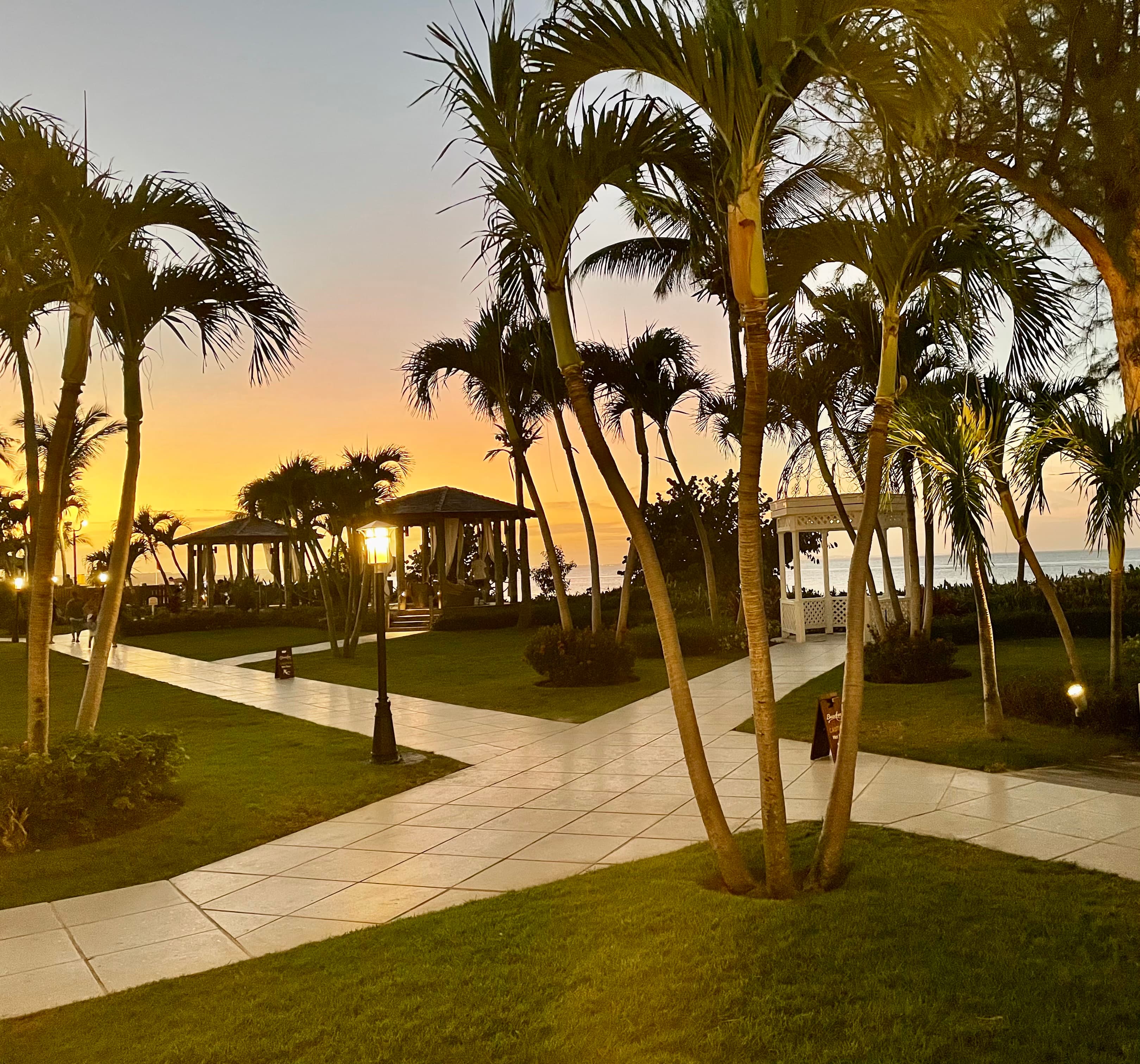 View of a beautiful garden