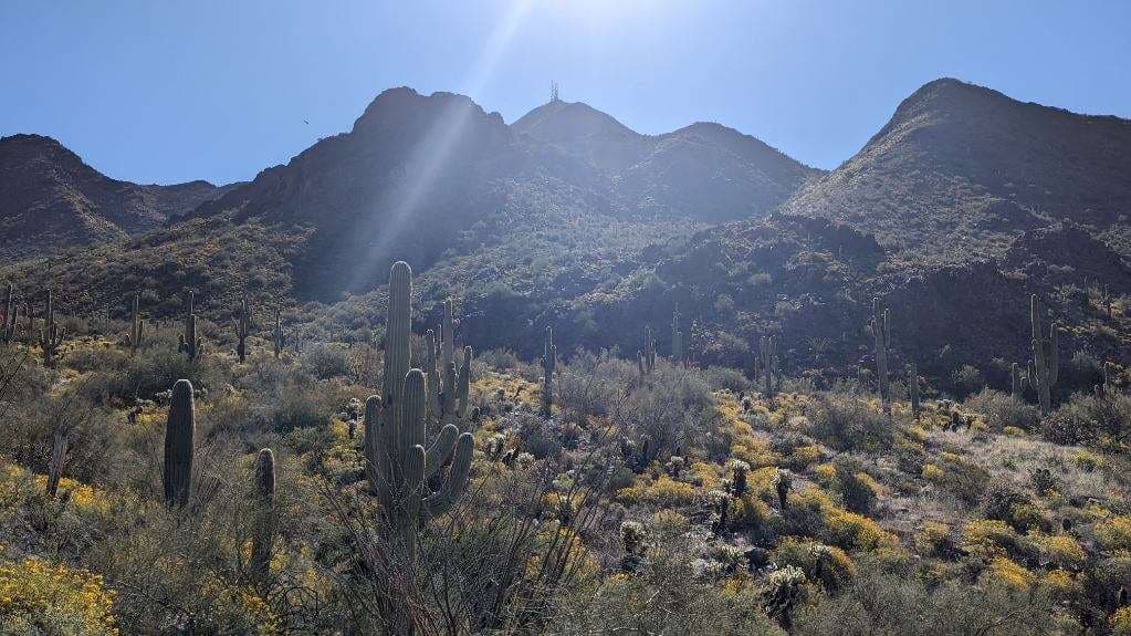 View of a valley