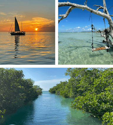 A collage of the photos of sea and lake