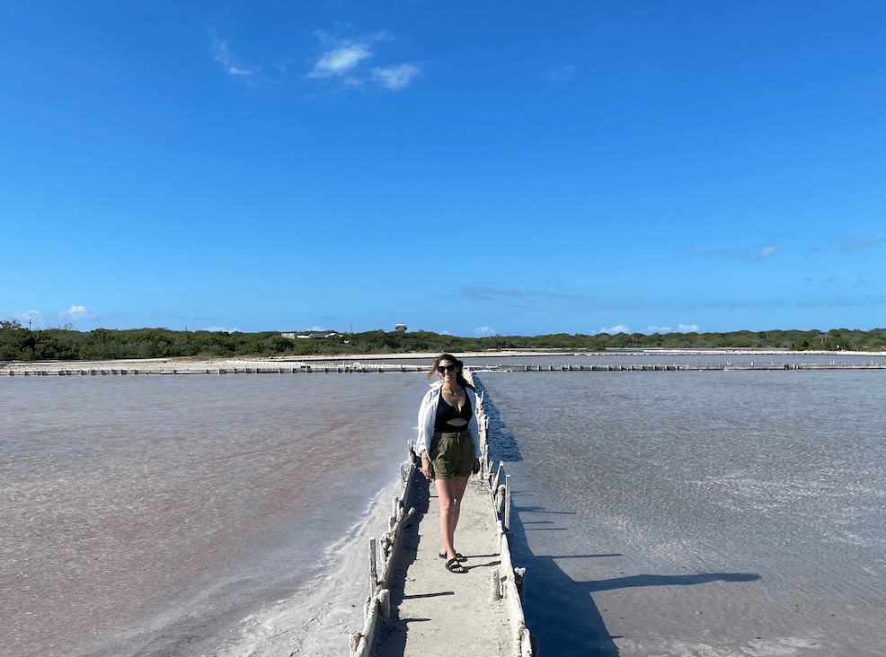Visiting the salt flats