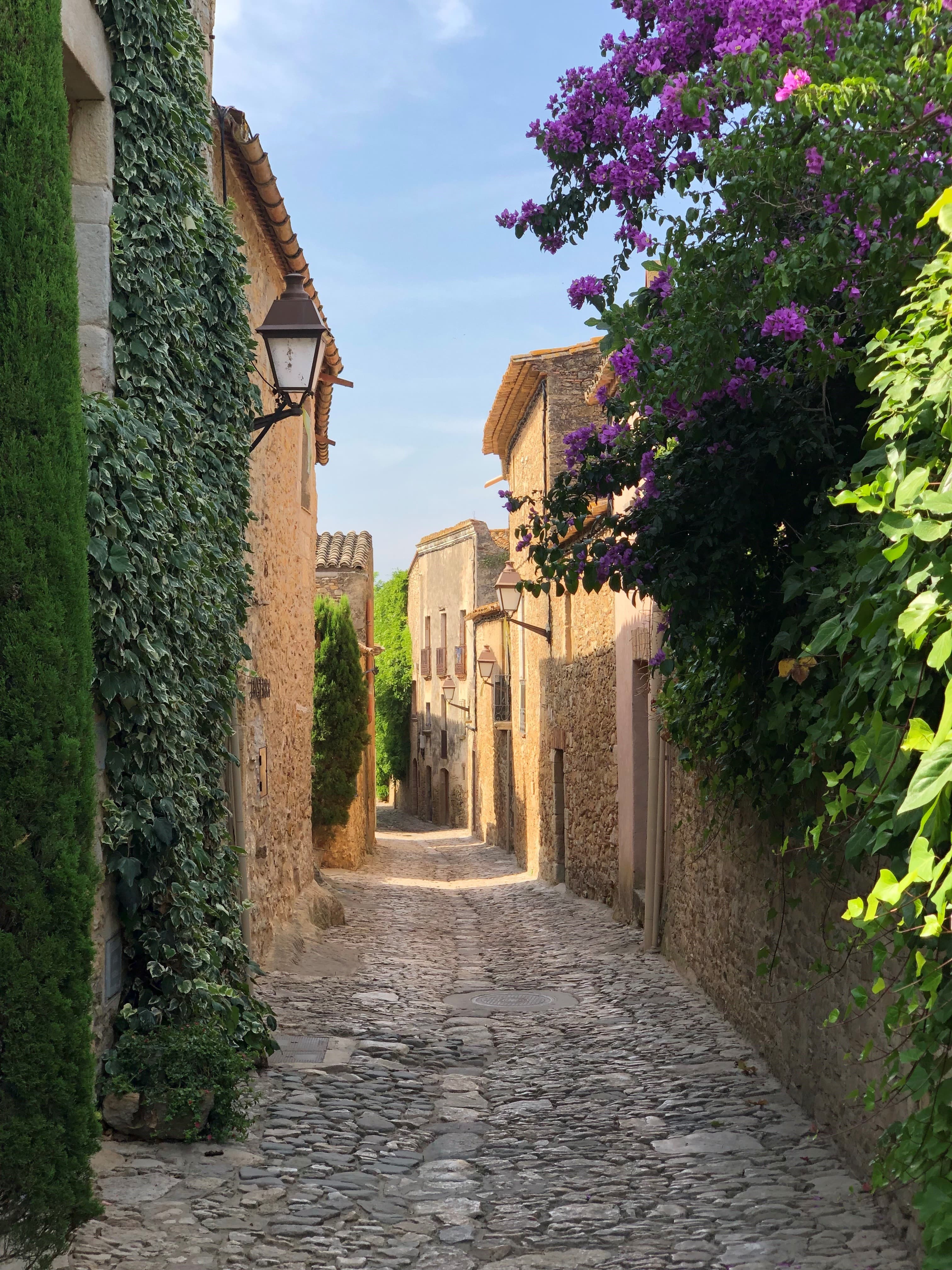 Street in Italy with flowers and greenery.
