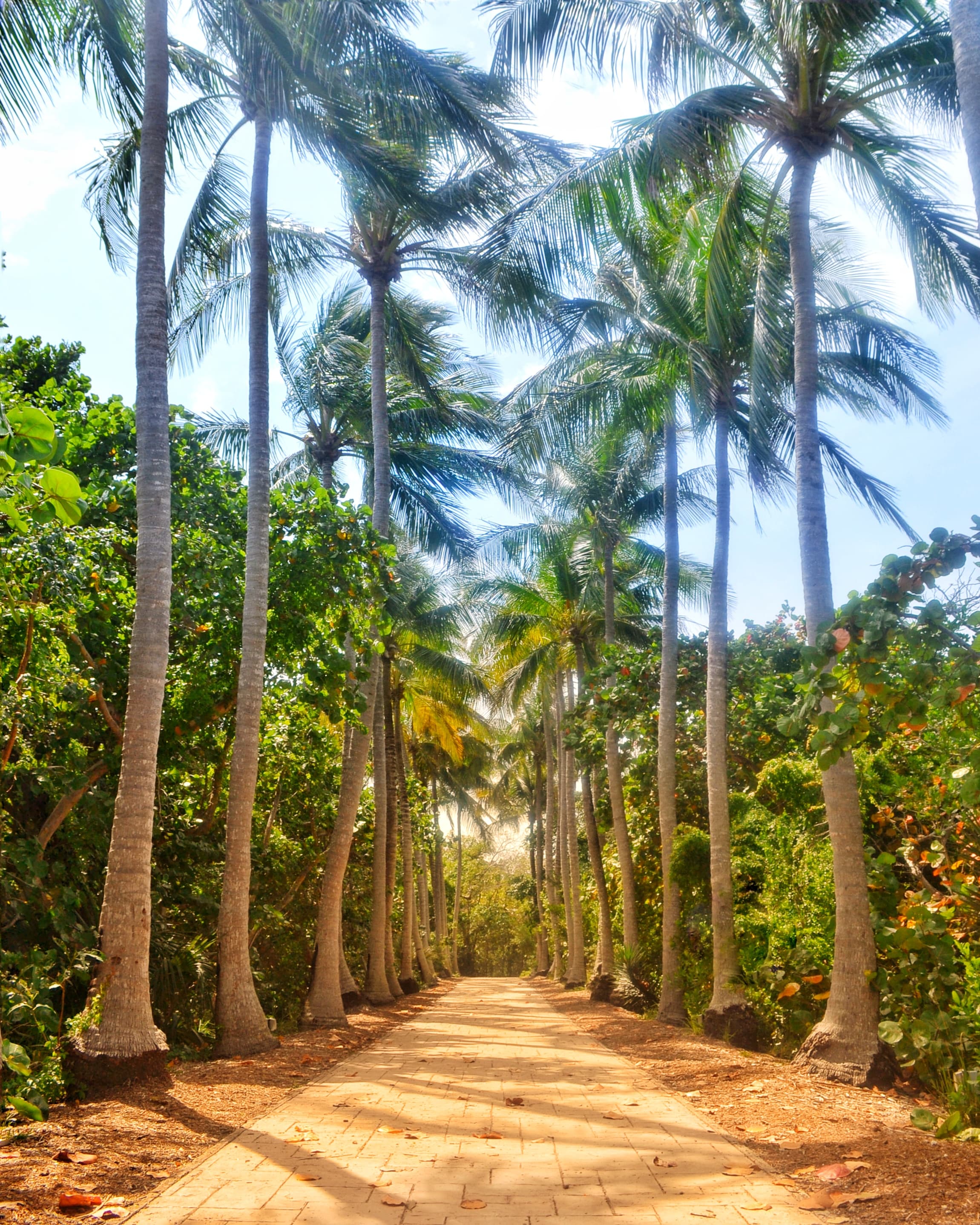 A park in Key Biscayne, Florida