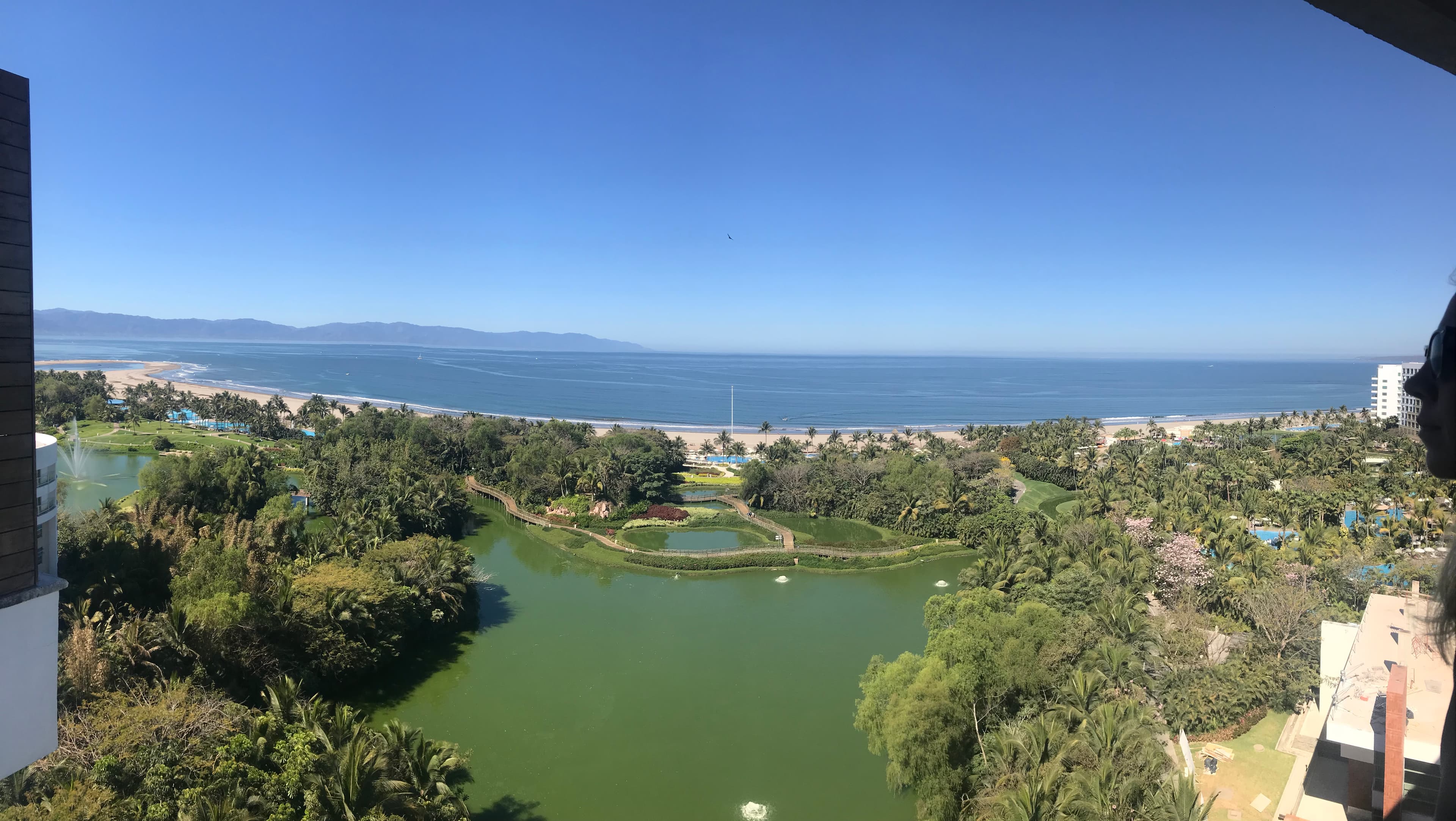 A beautiful view of the lake