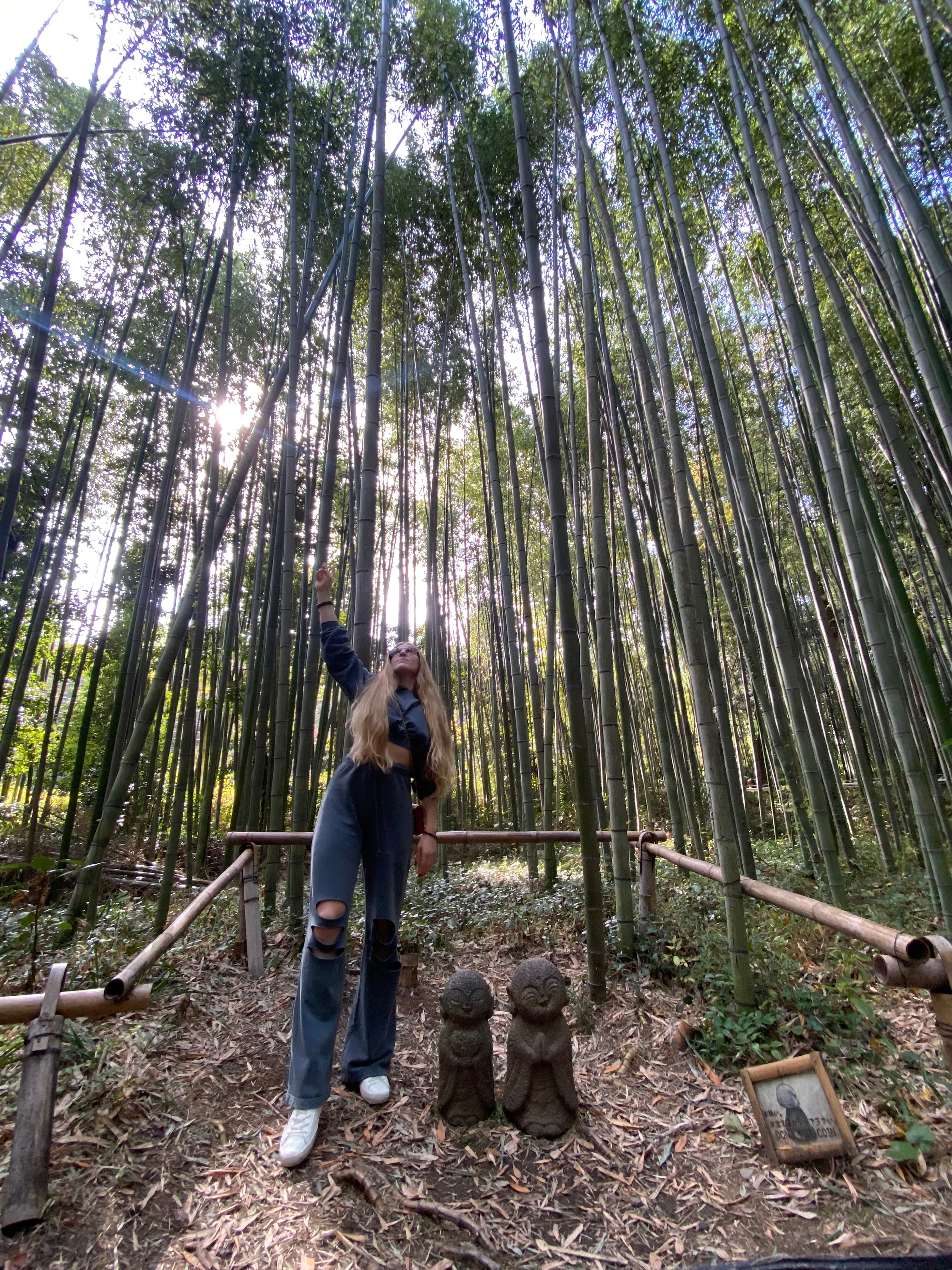 Trekking in the forest