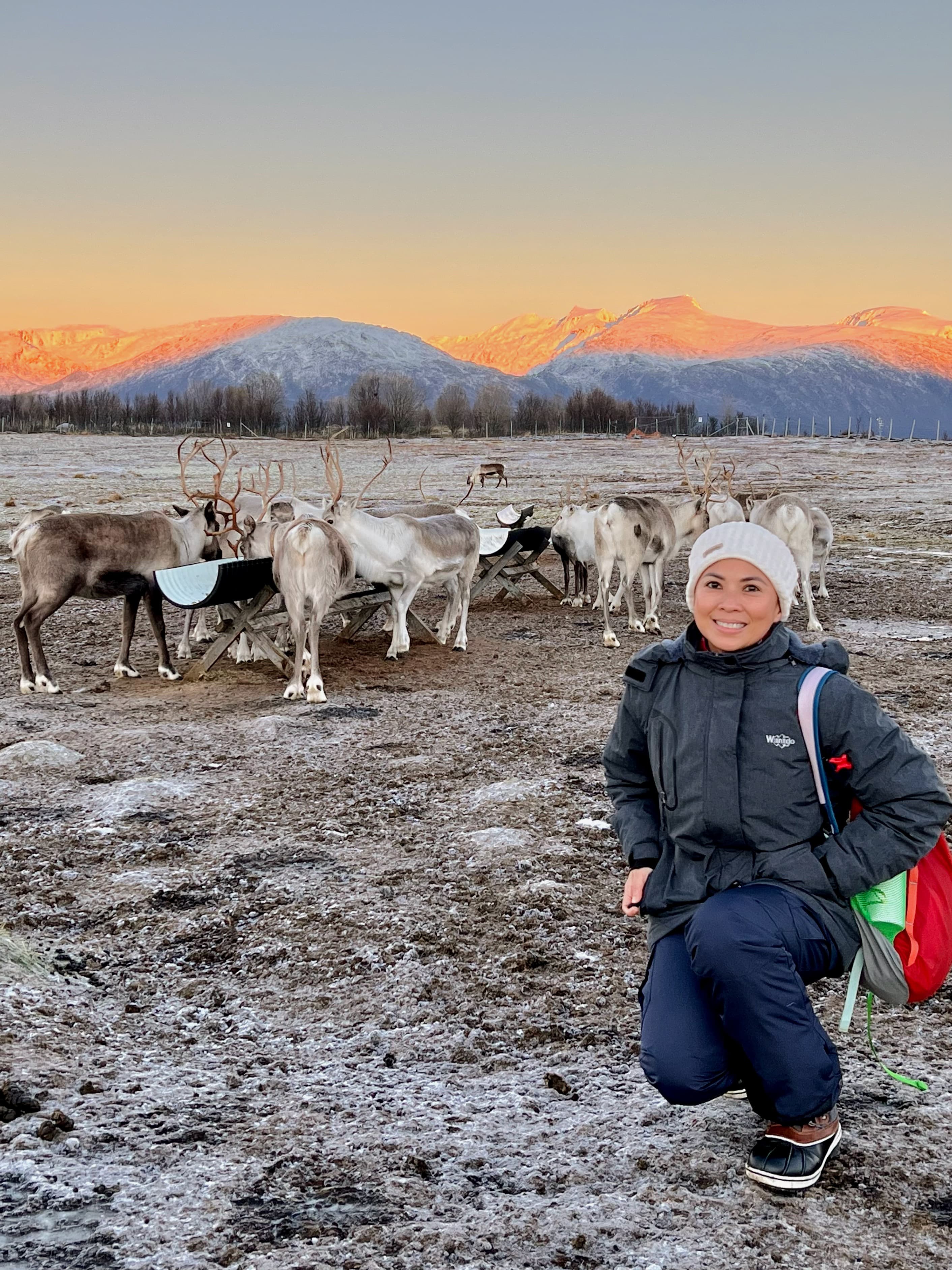 Picture of Diadema with herd of Peary caribou