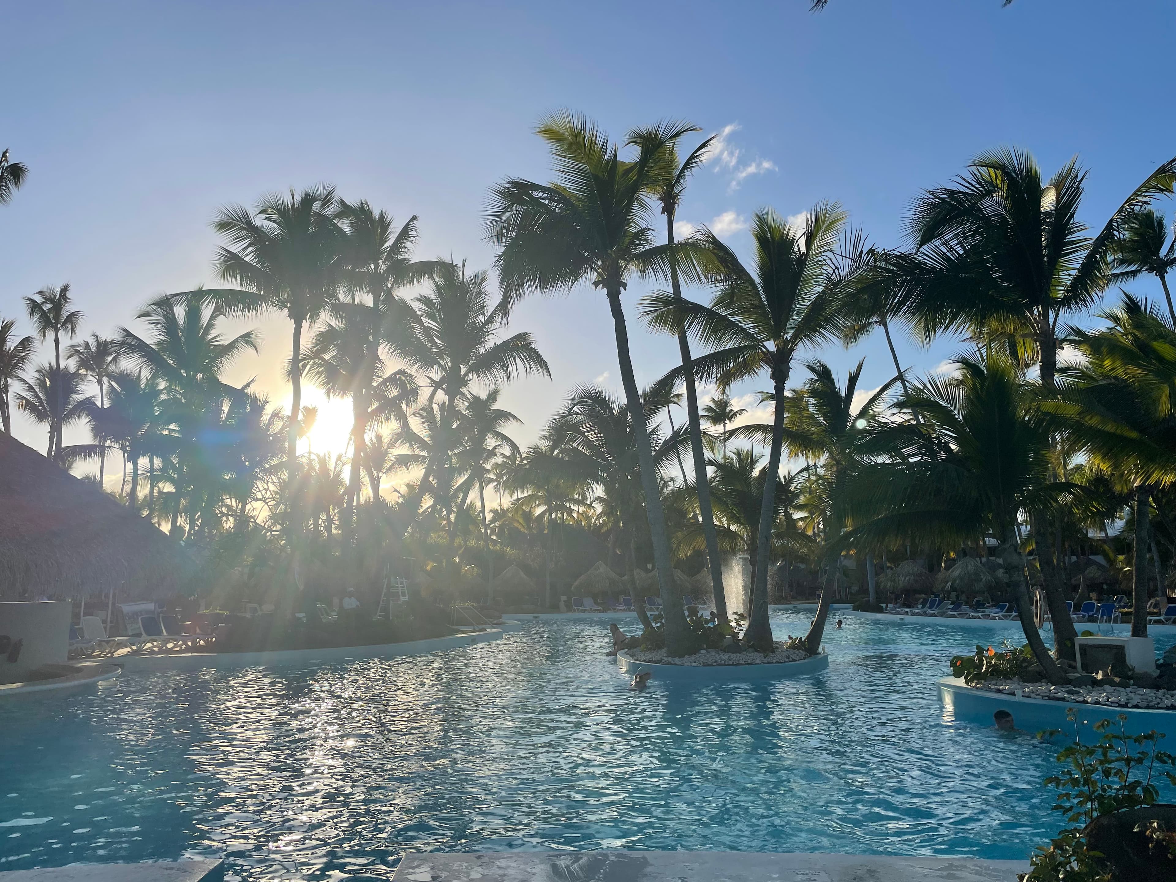 Image of a pool and trees