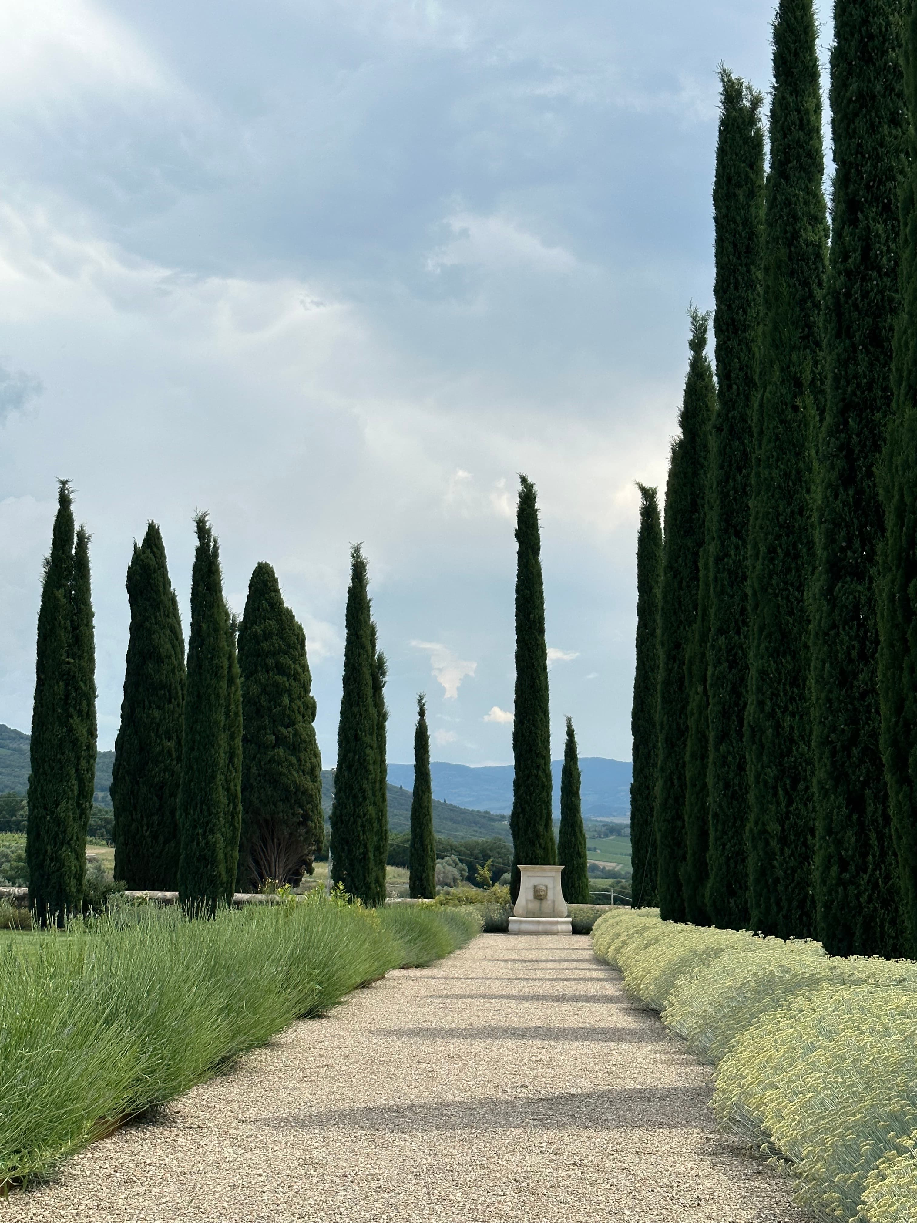 Pathway with trees on both sides