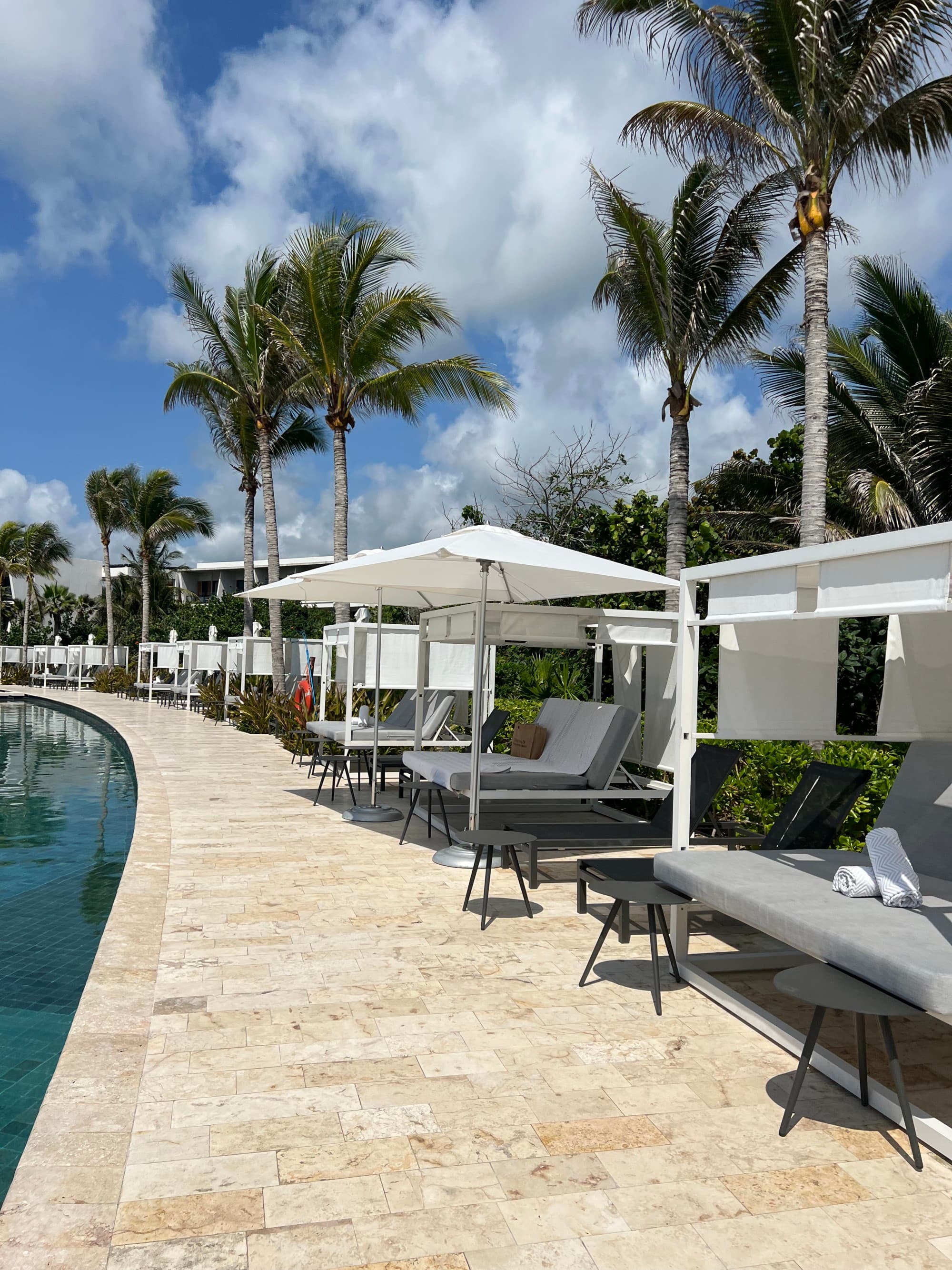 A pool with pool chairs, palm trees during daytime.