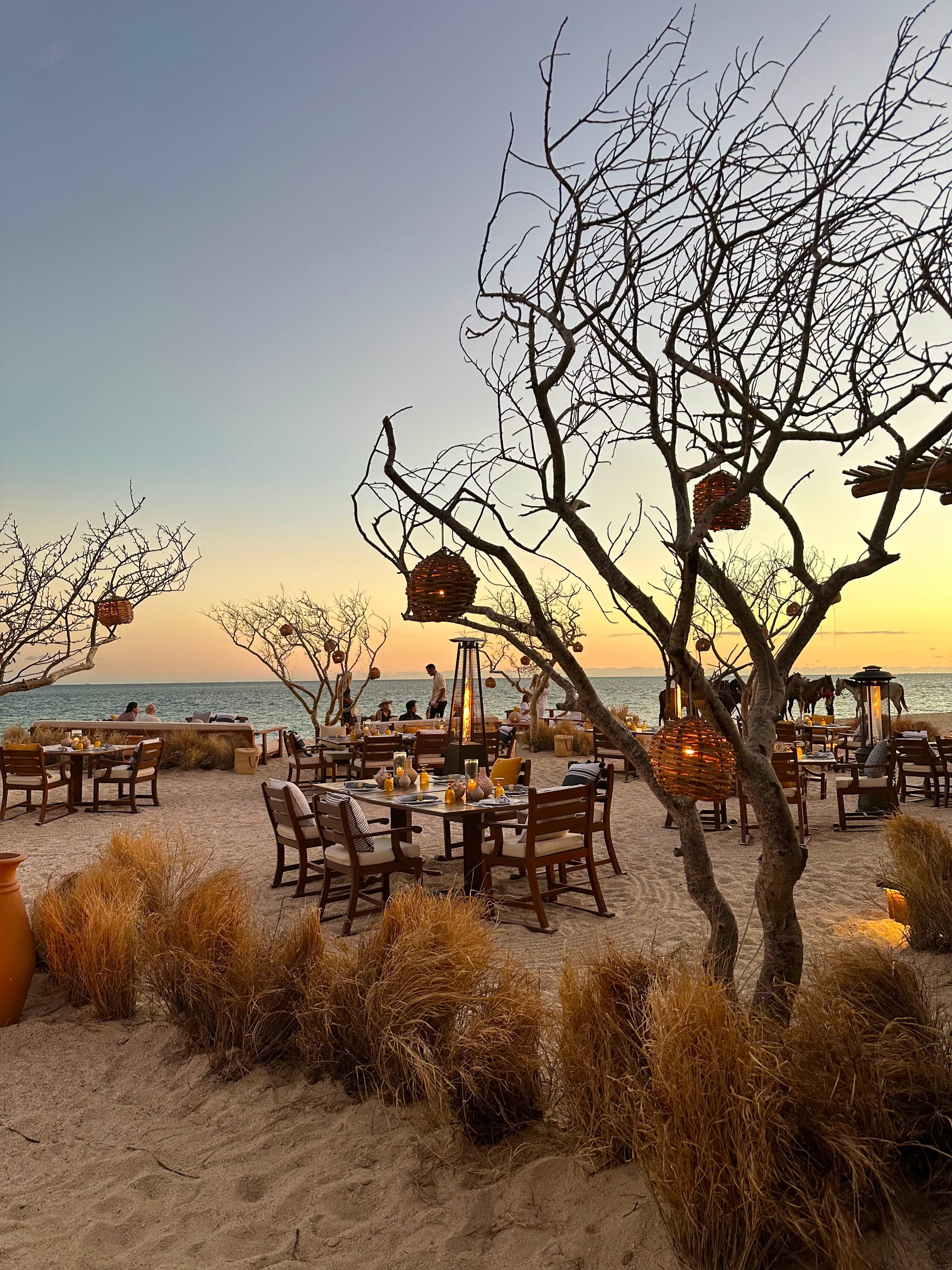 Picture of Las Ventanas al Paraiso, A Rosewood Resort with tables on a sandy beach surrounded by trees and wild grasses