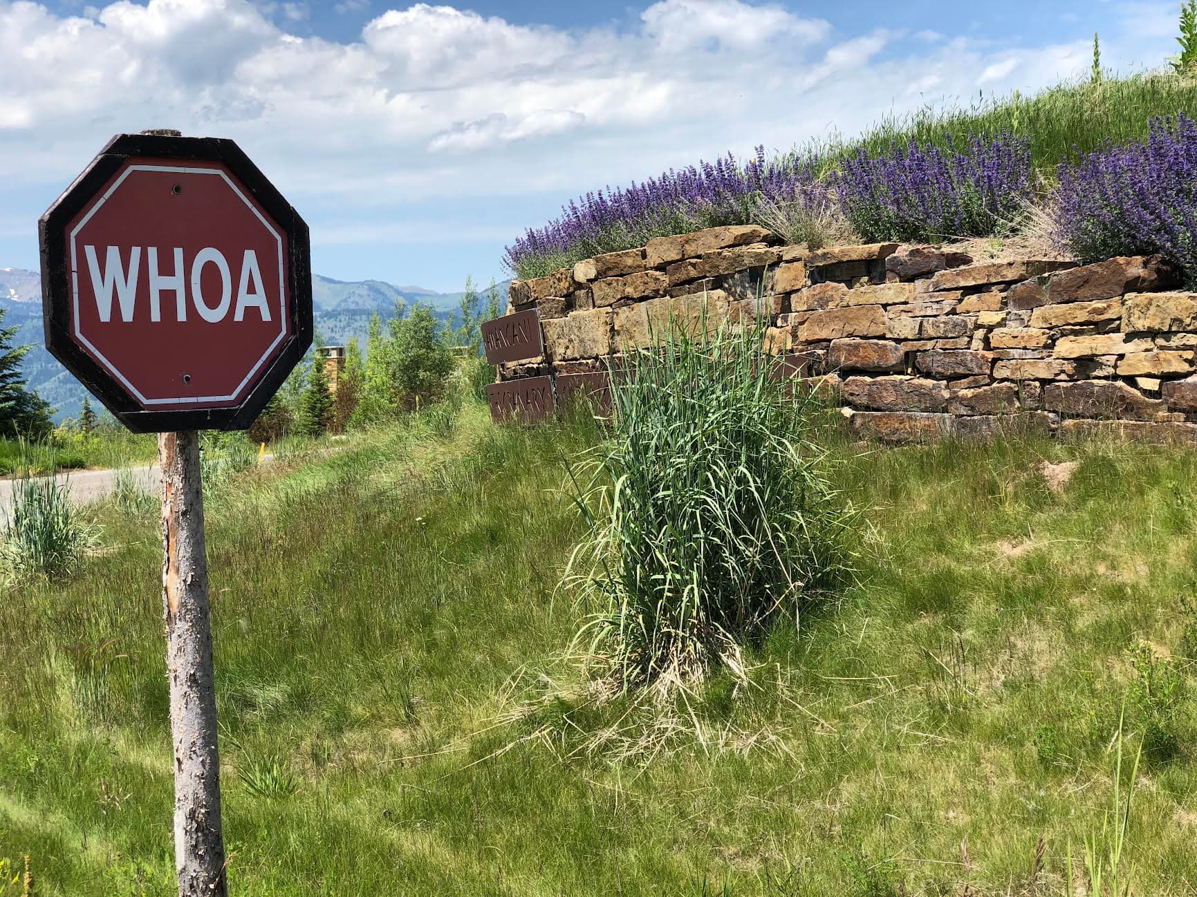 A sign board of WHOA