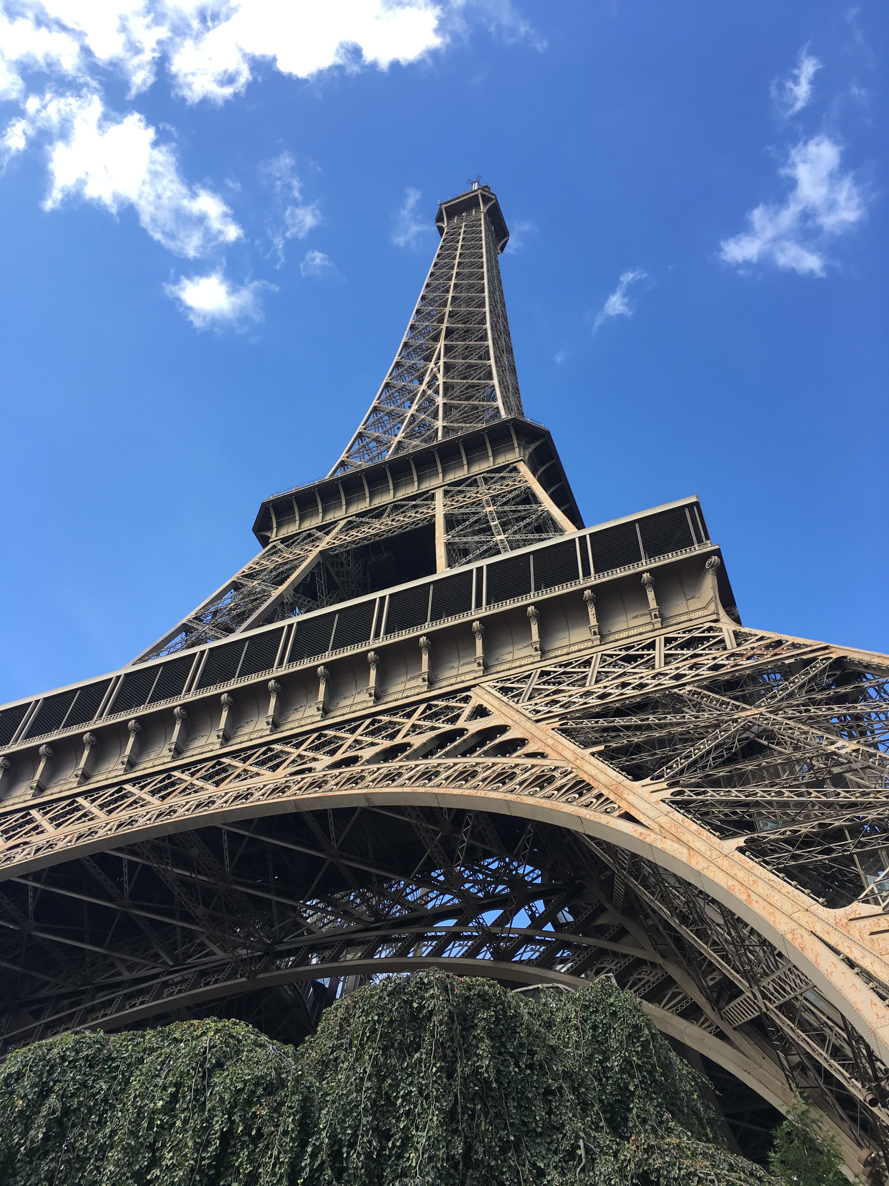 Picture of The Eiffel Tower