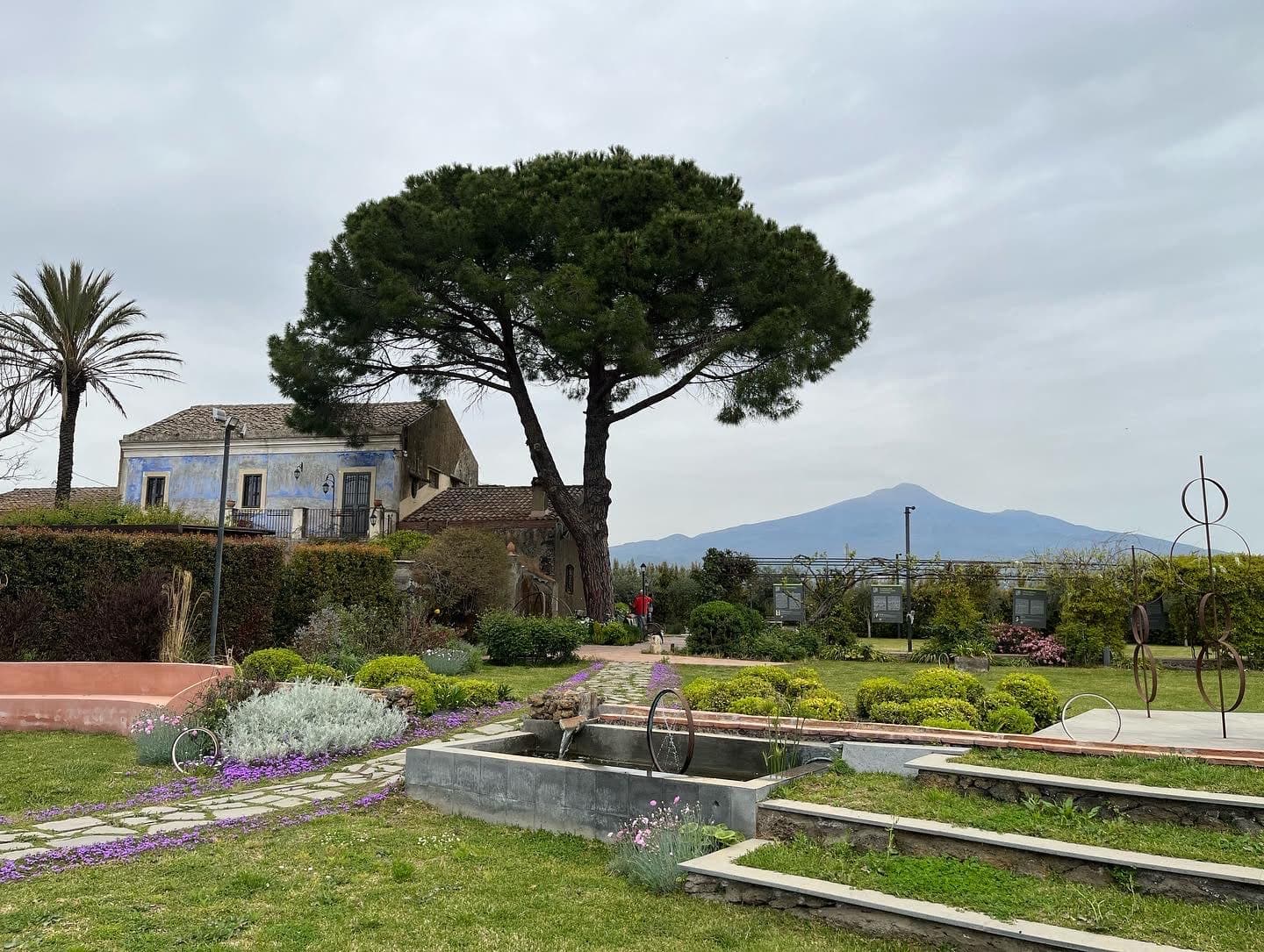 View of Etna Urban Winery