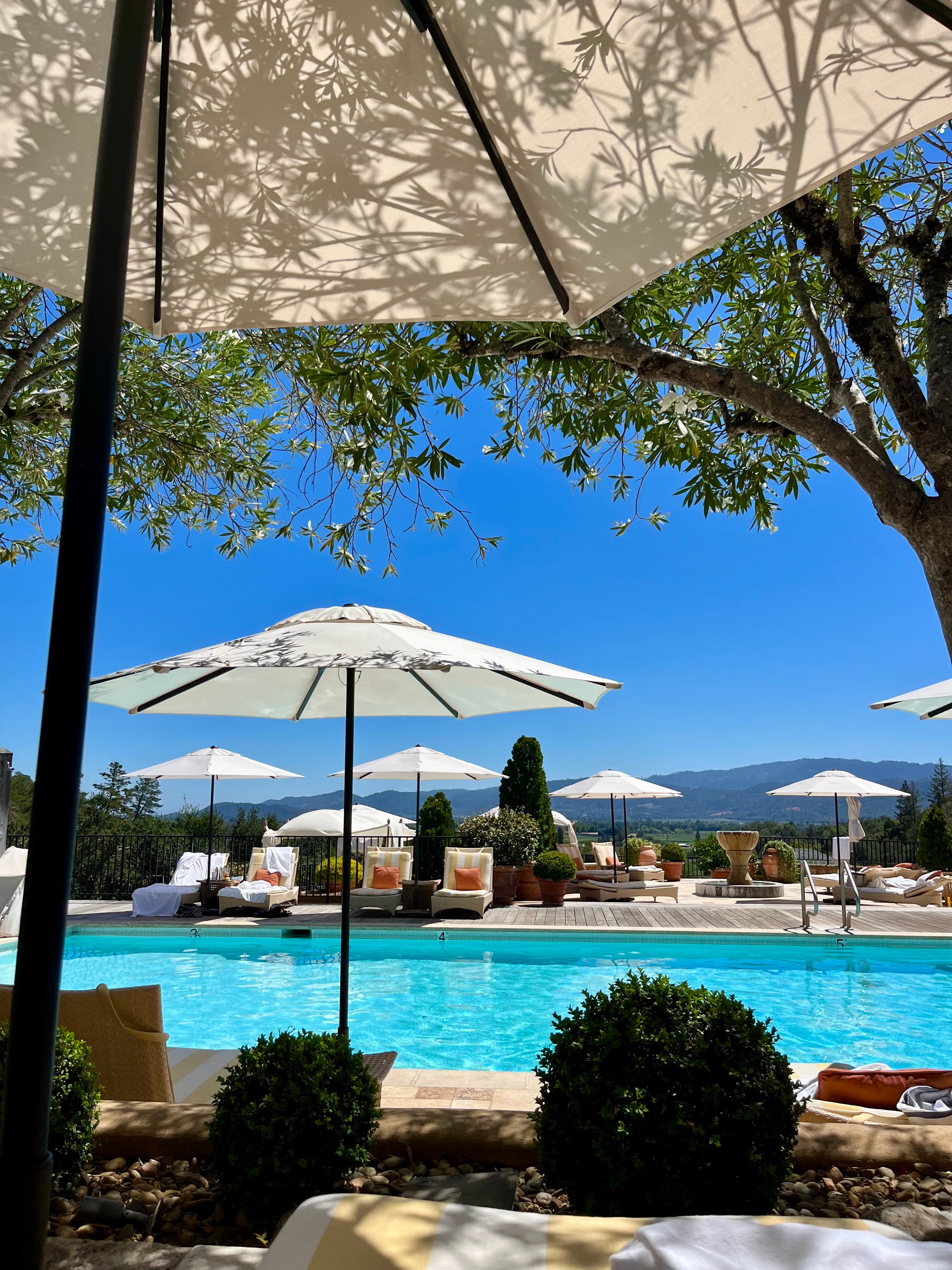 A blue swimming pool surrounded by white umbrellas and lawn chairs