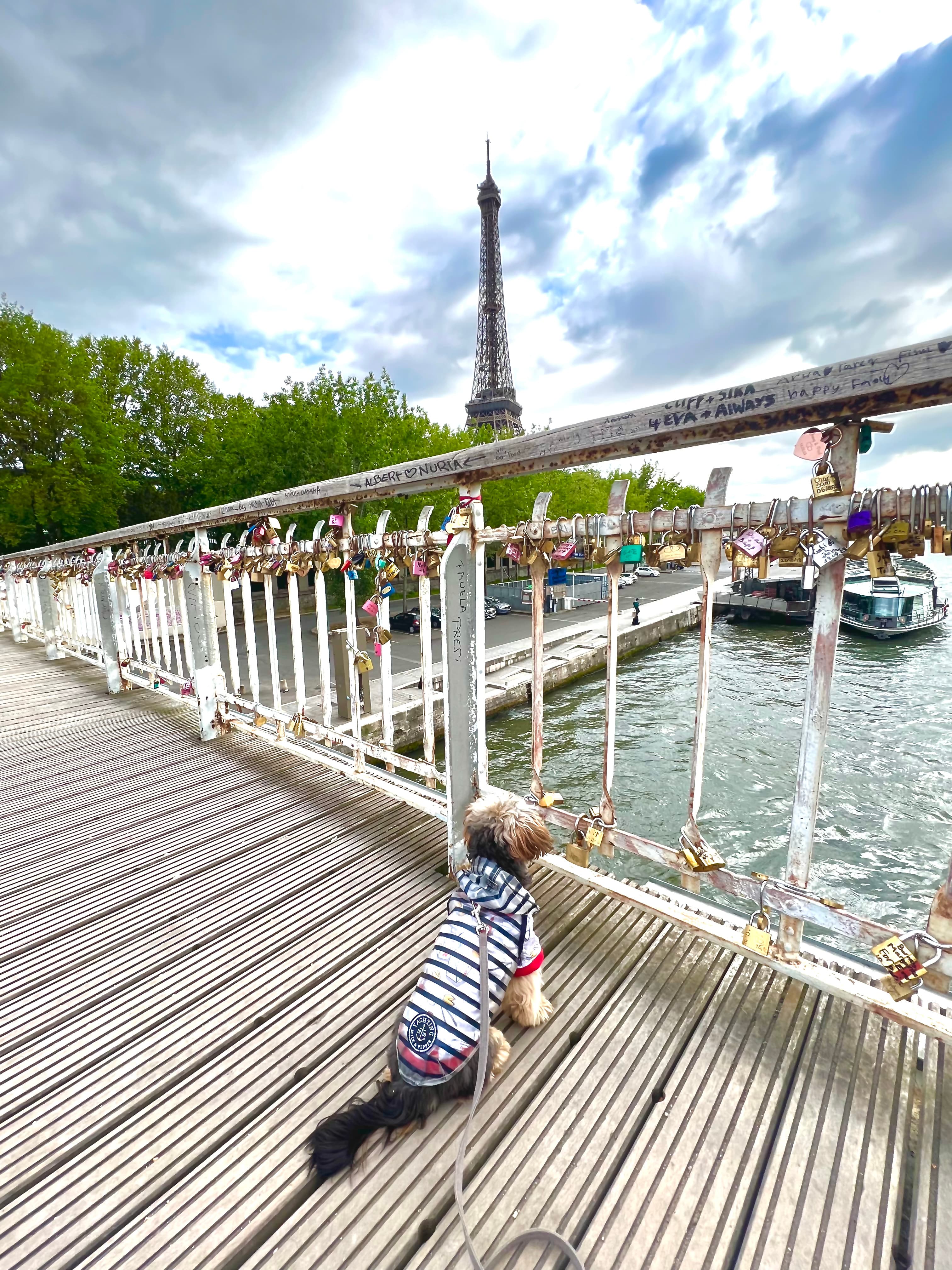 Beautiful view of Eiffle tower from bridge