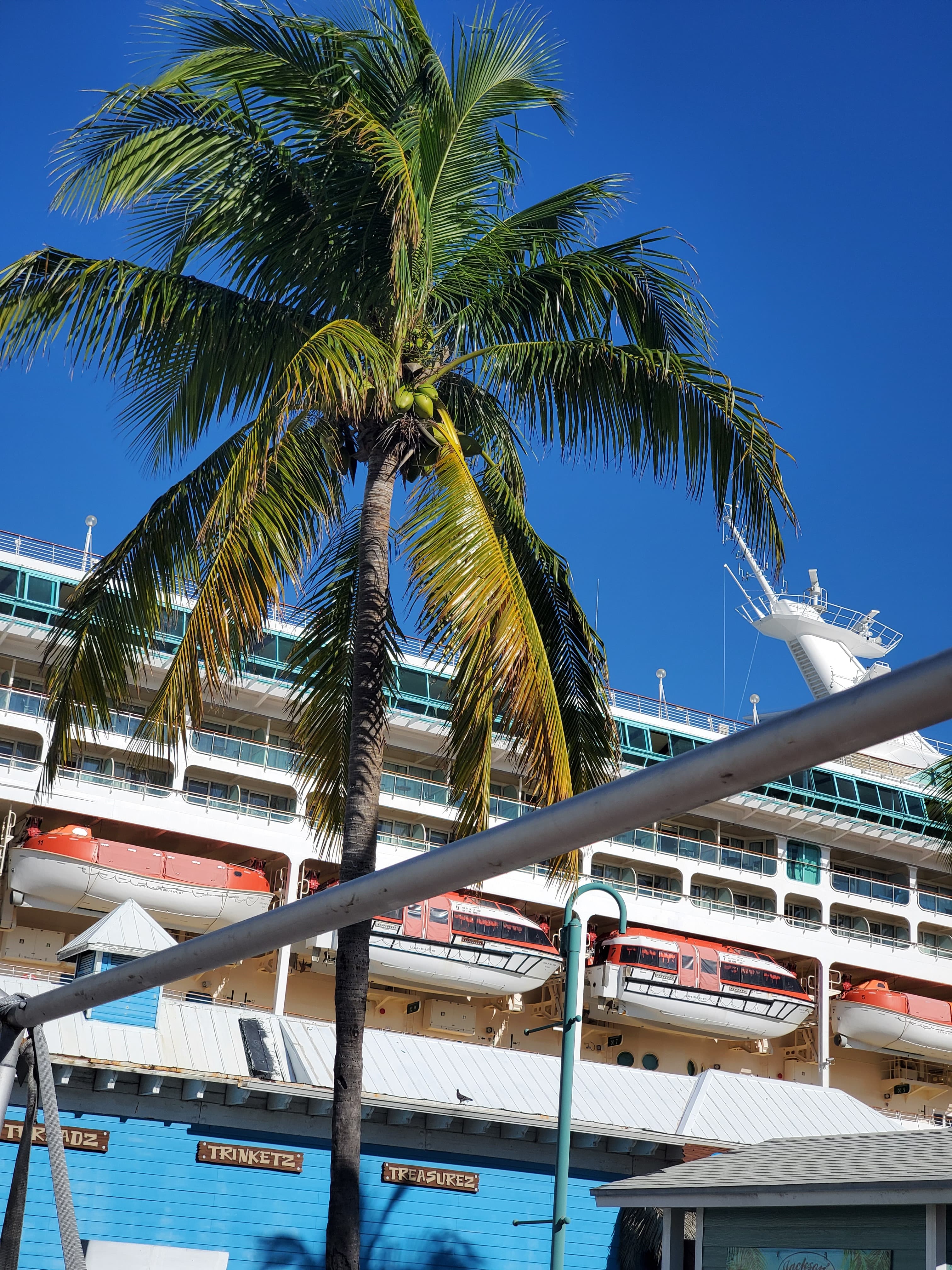 Picture of a palm tree in front of a hotel building with a blue sky