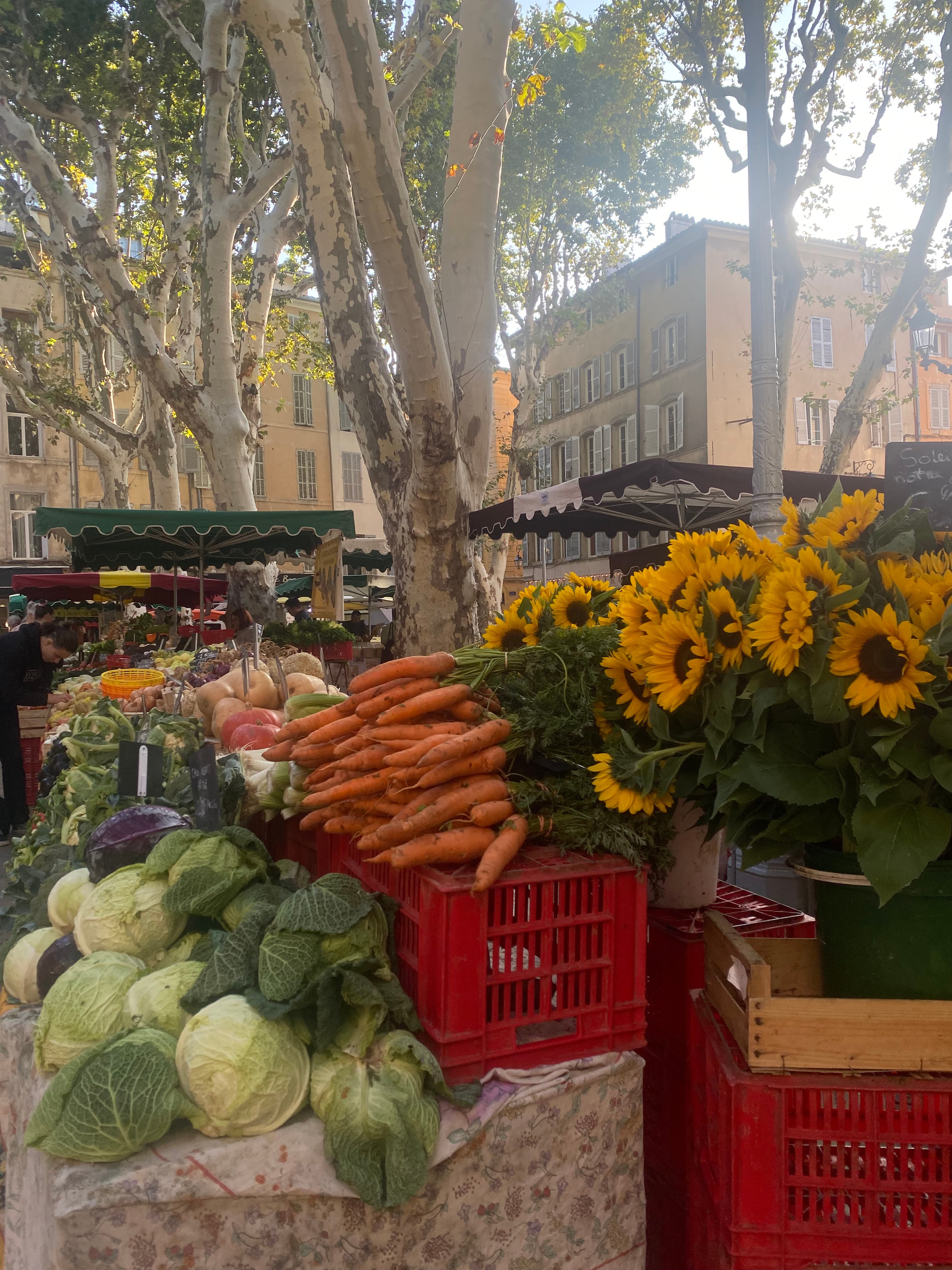A photo of cabbage, carrots and sunflowers at an outdoor market.