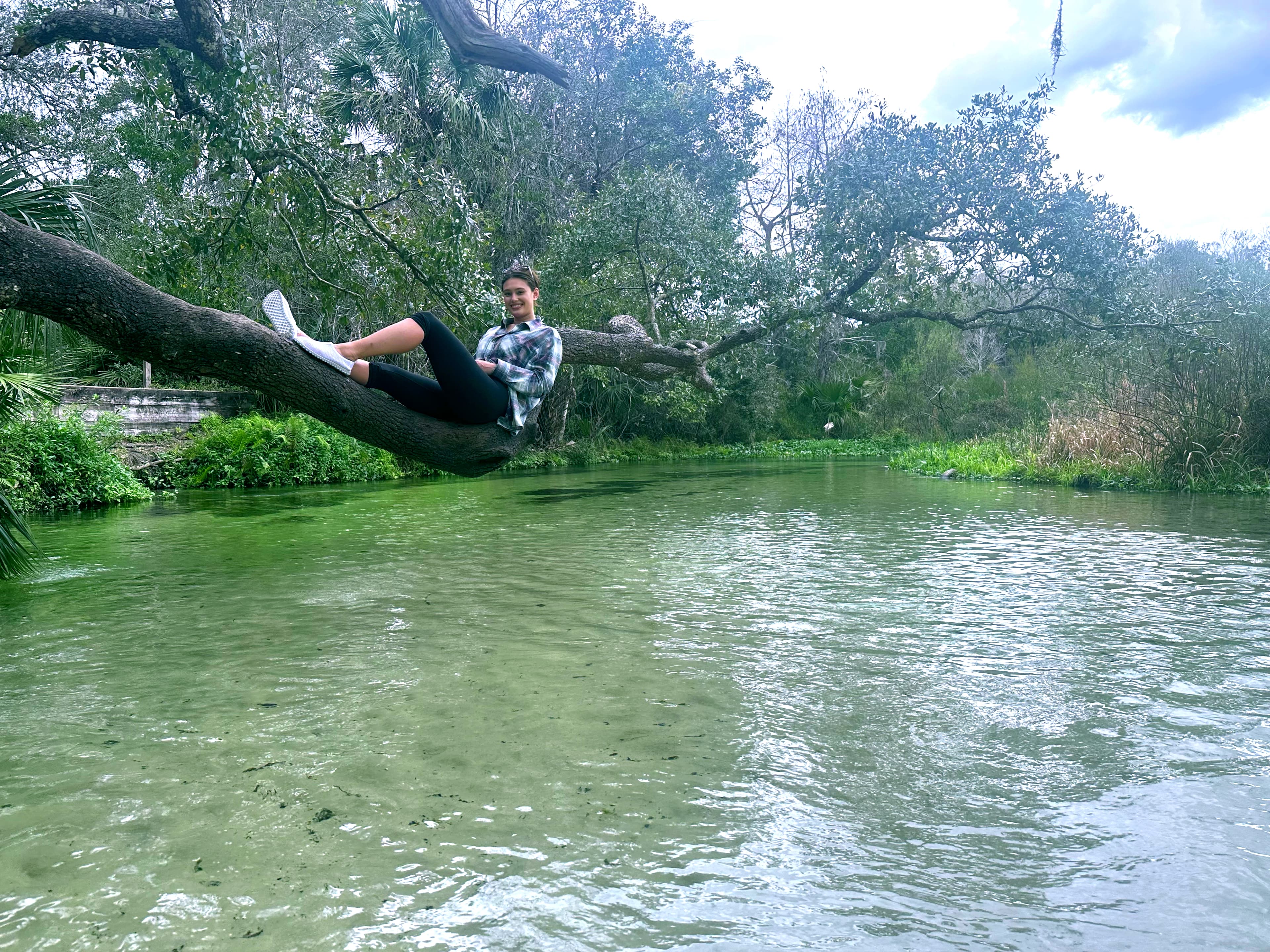 Annemarie sitting on tree branch above a pond with trees in the background.