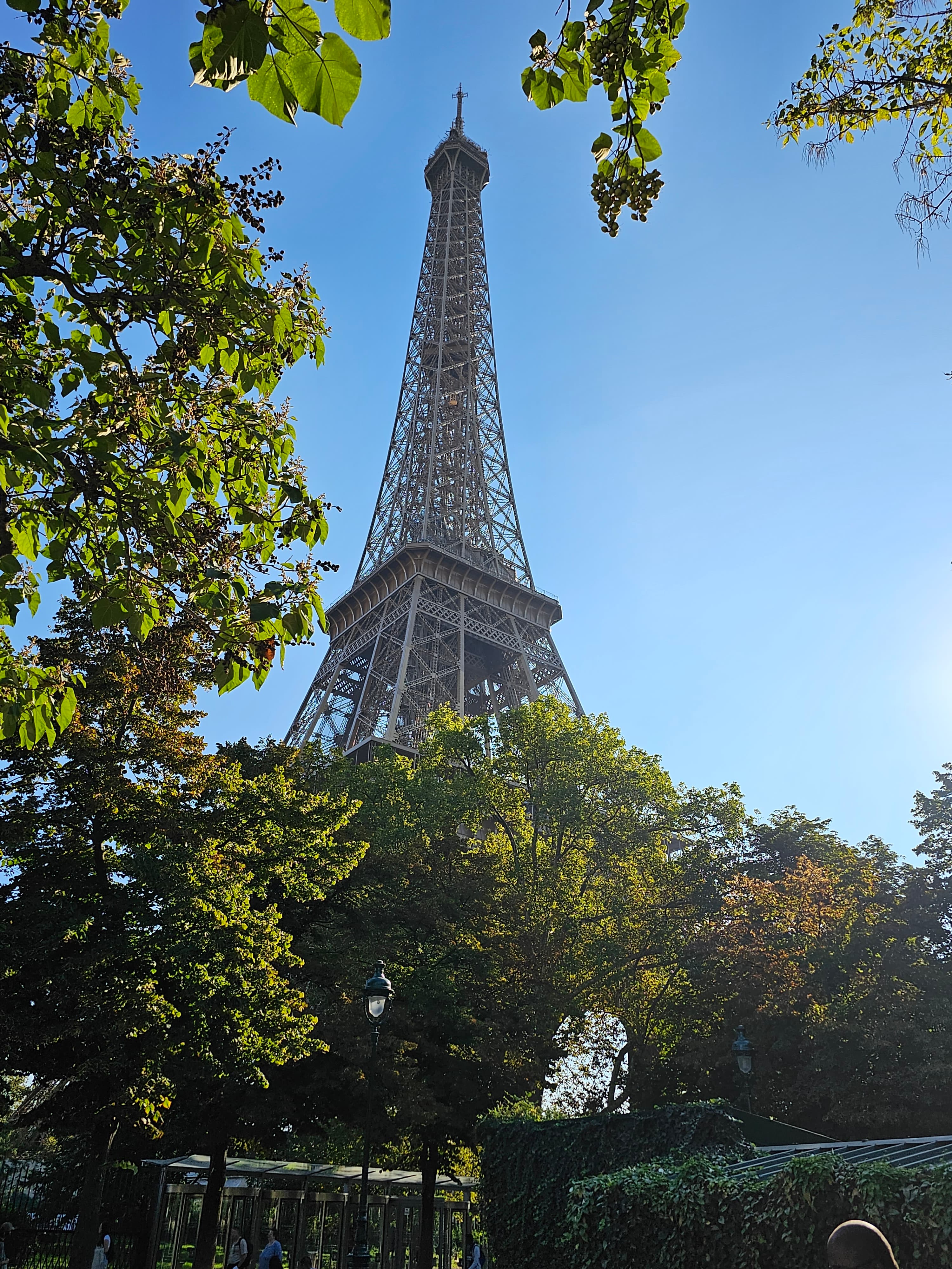 Eiffel Tower view