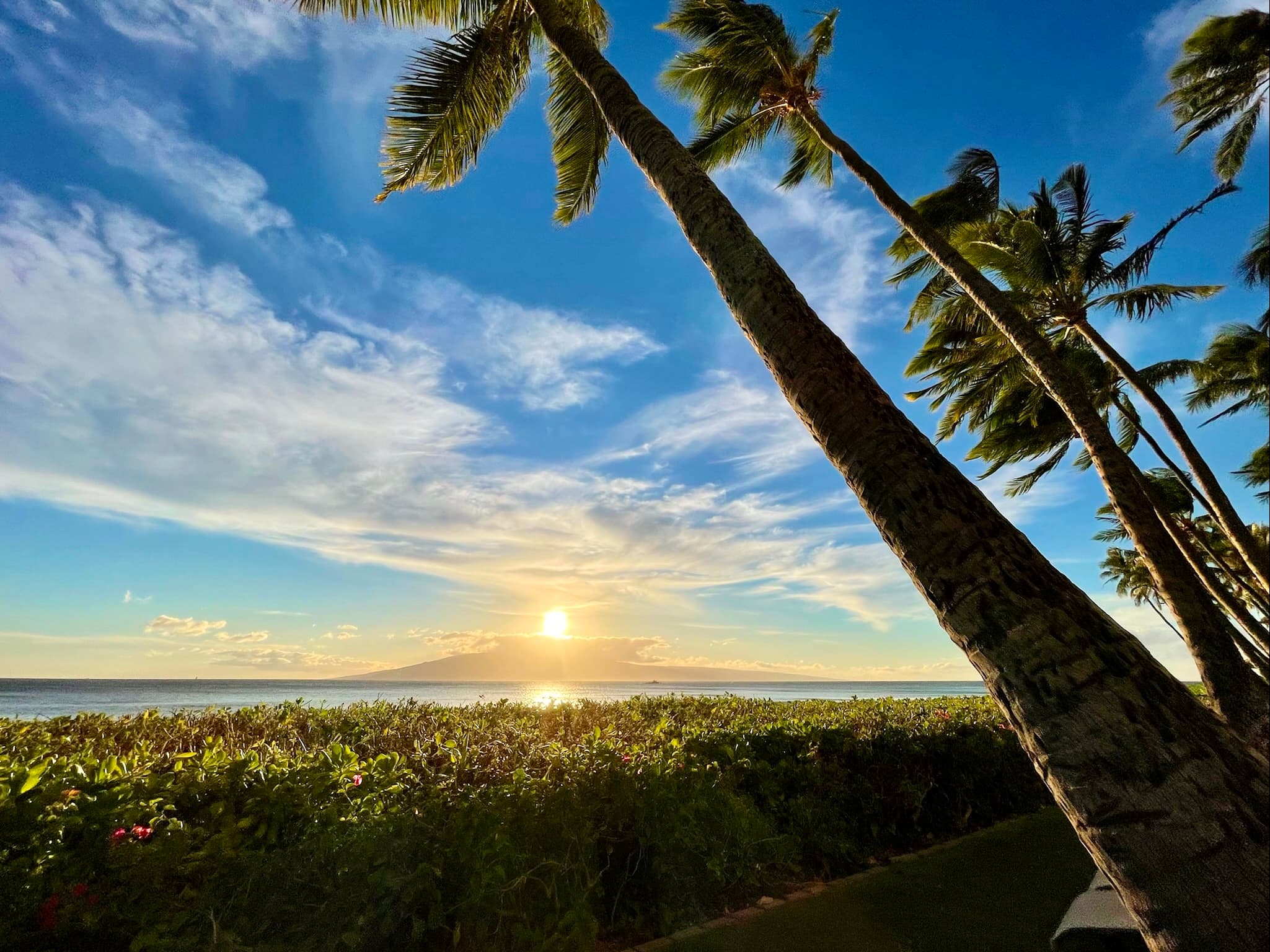 A beautiful view at sunset