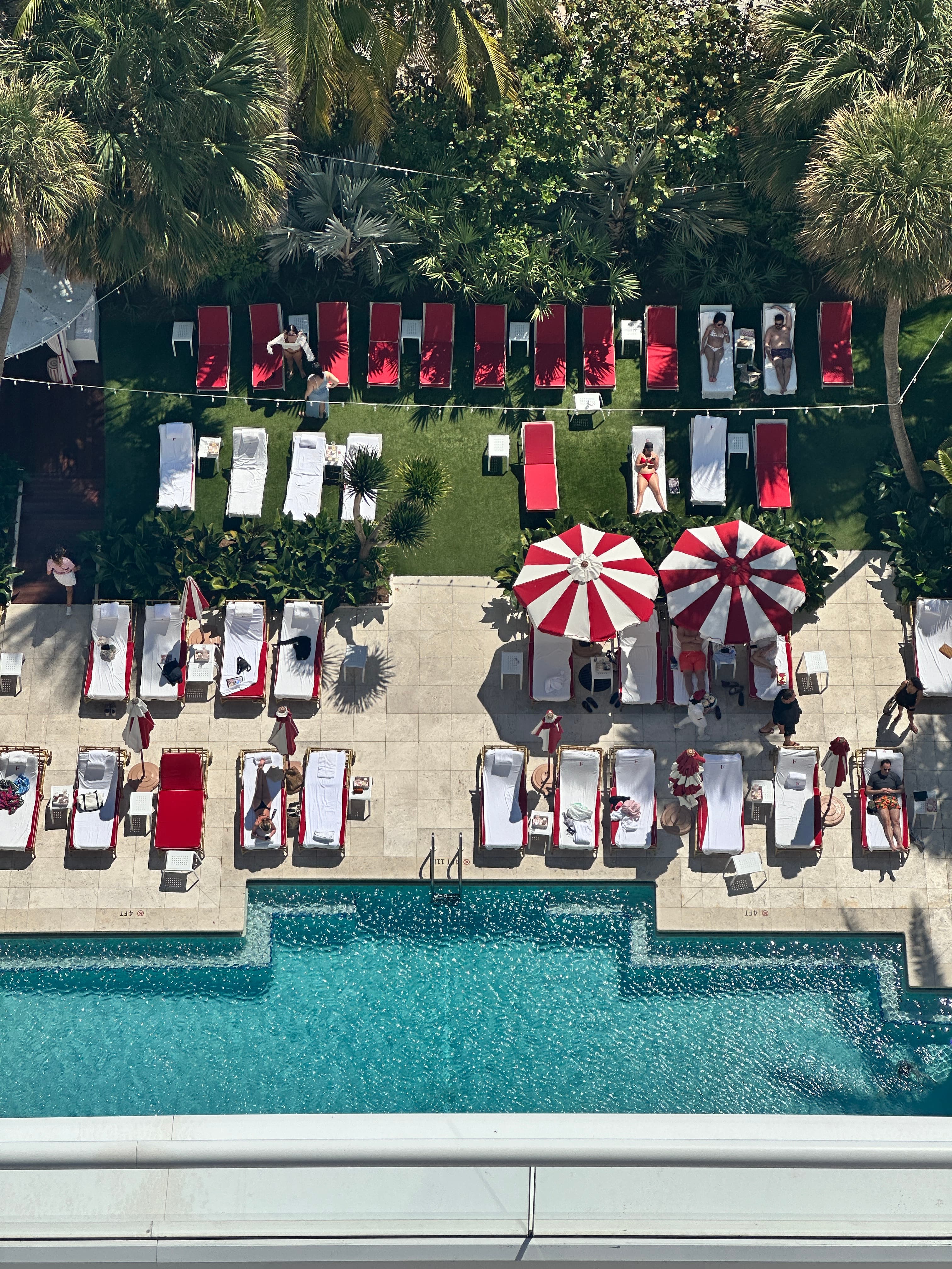 A winding road along a snowy bank with pine trees and snow covered mountains in the distance