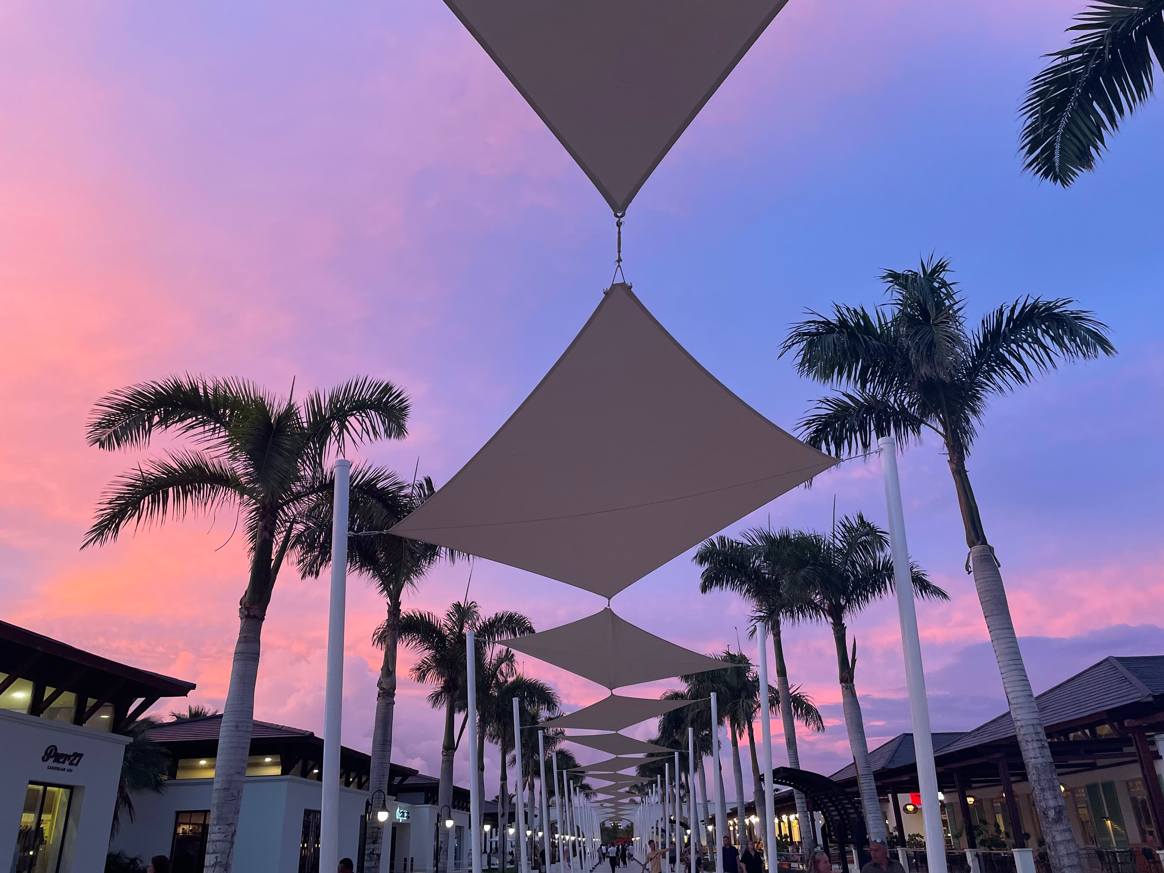 Shades of the sky in blue and pink and trees