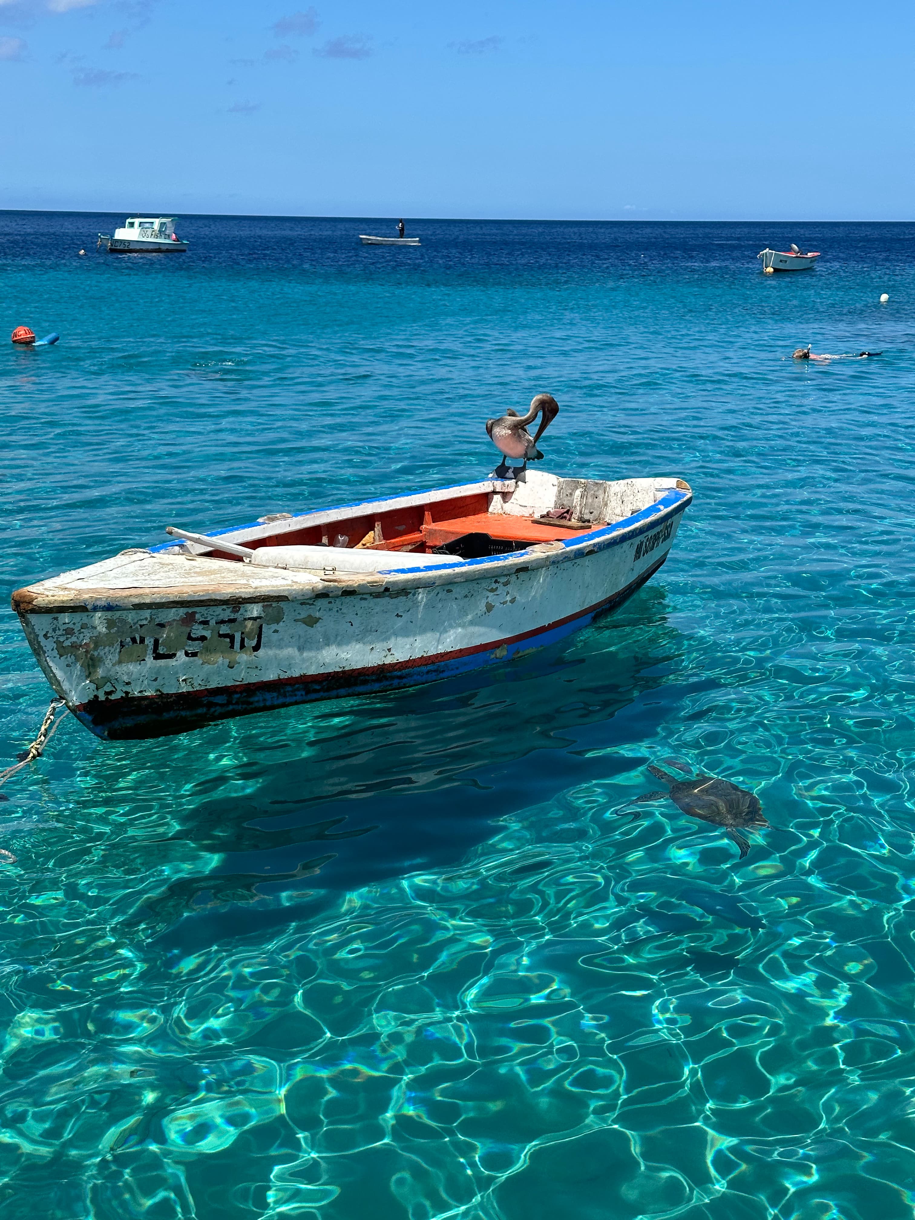 Pelican sitting on a boat