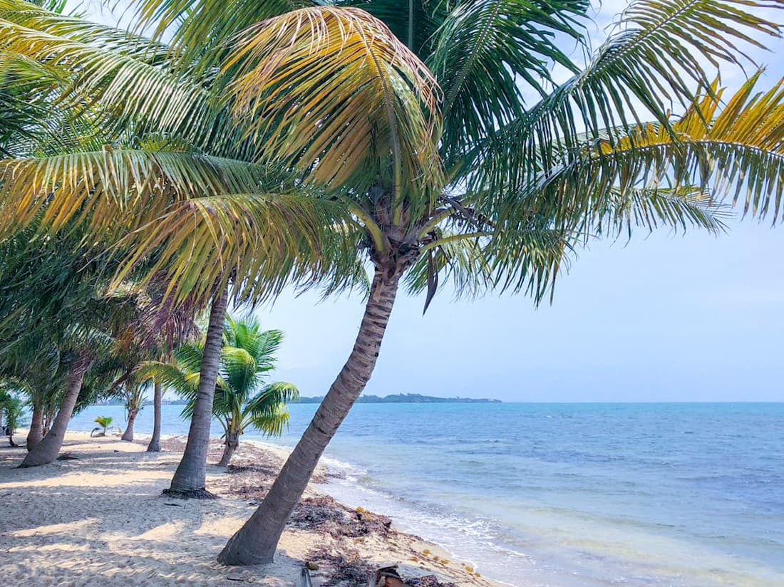 Sea and sea side view