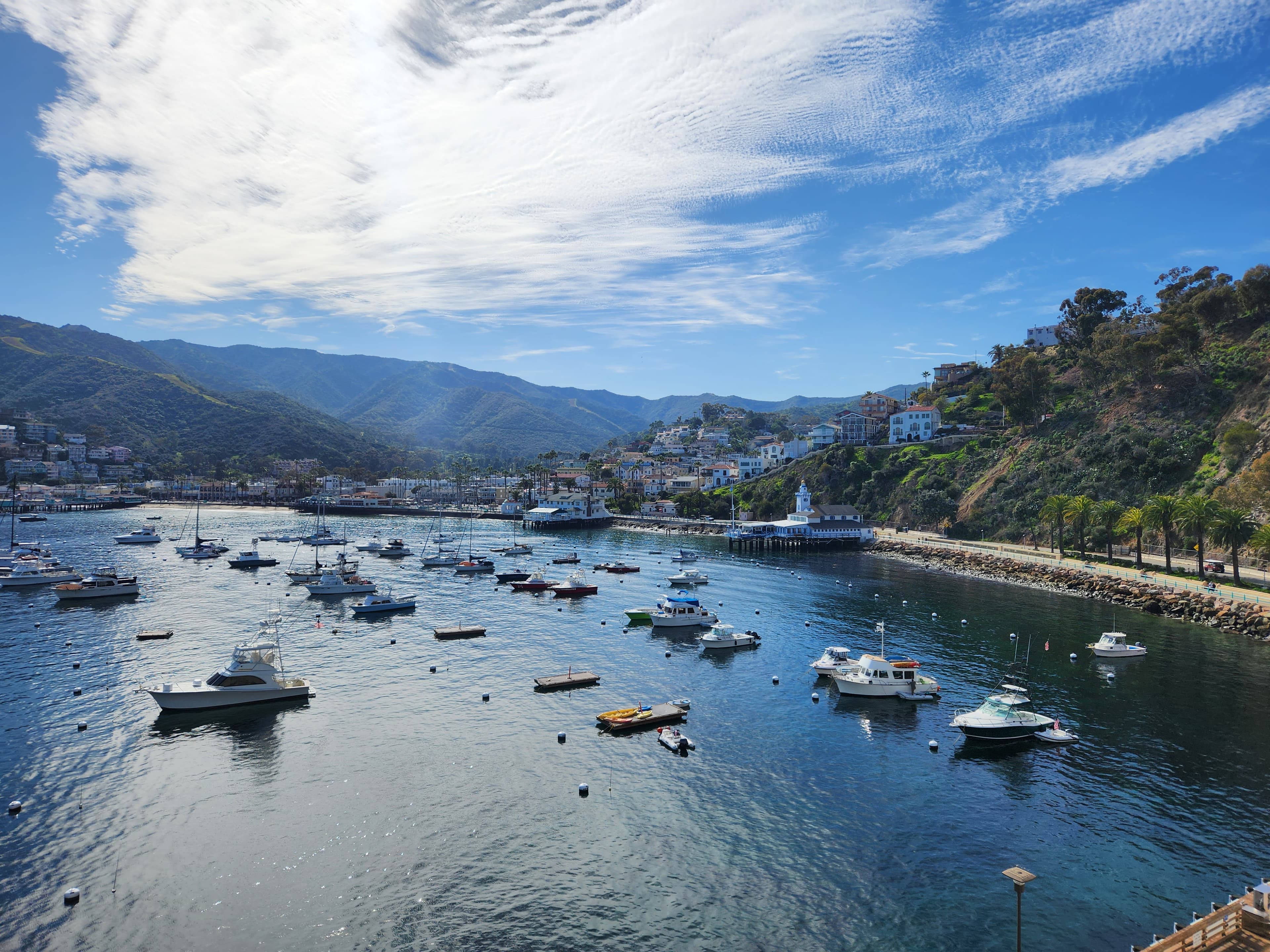 boats on the harbor