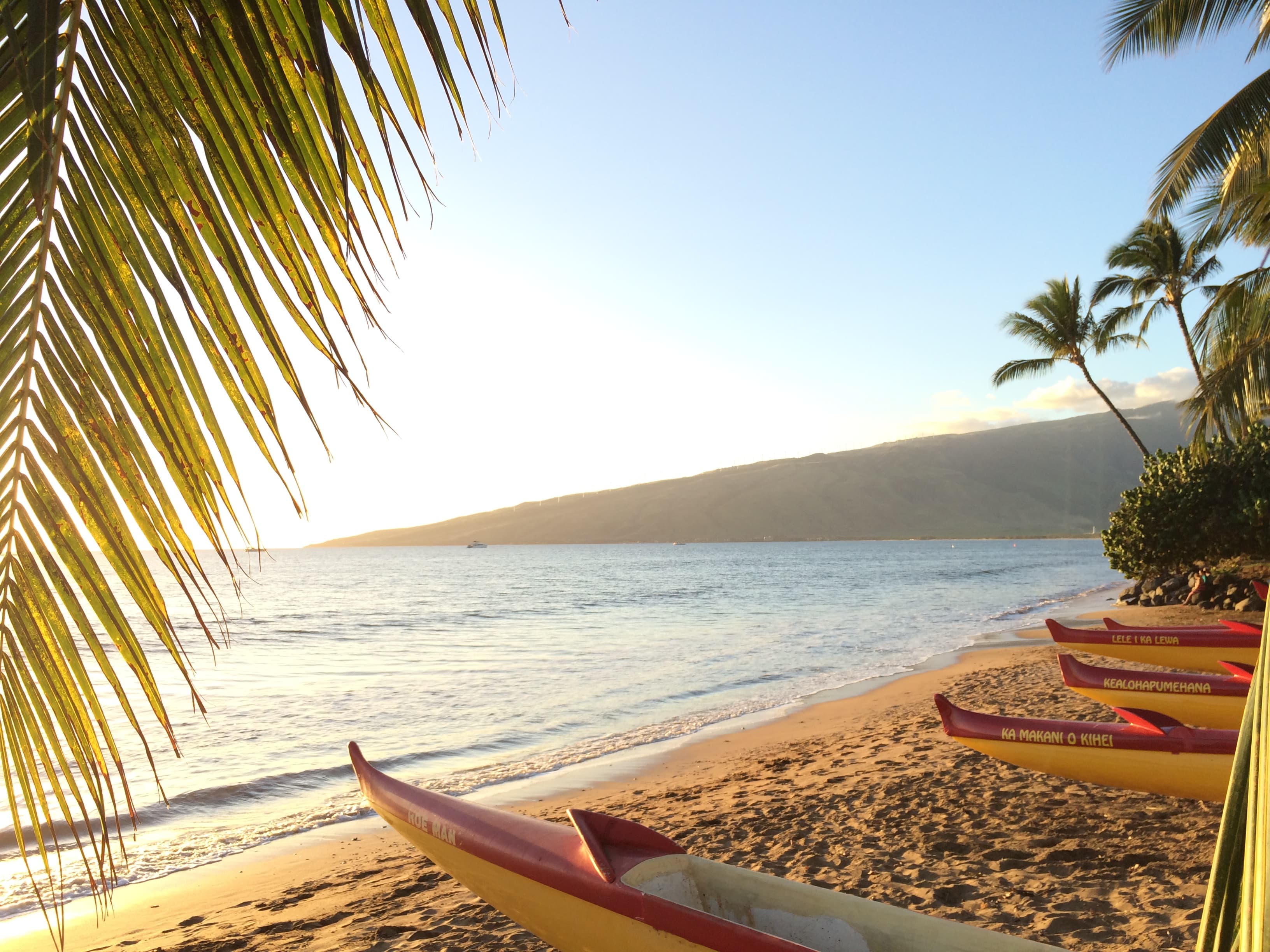 Sea and seaside view