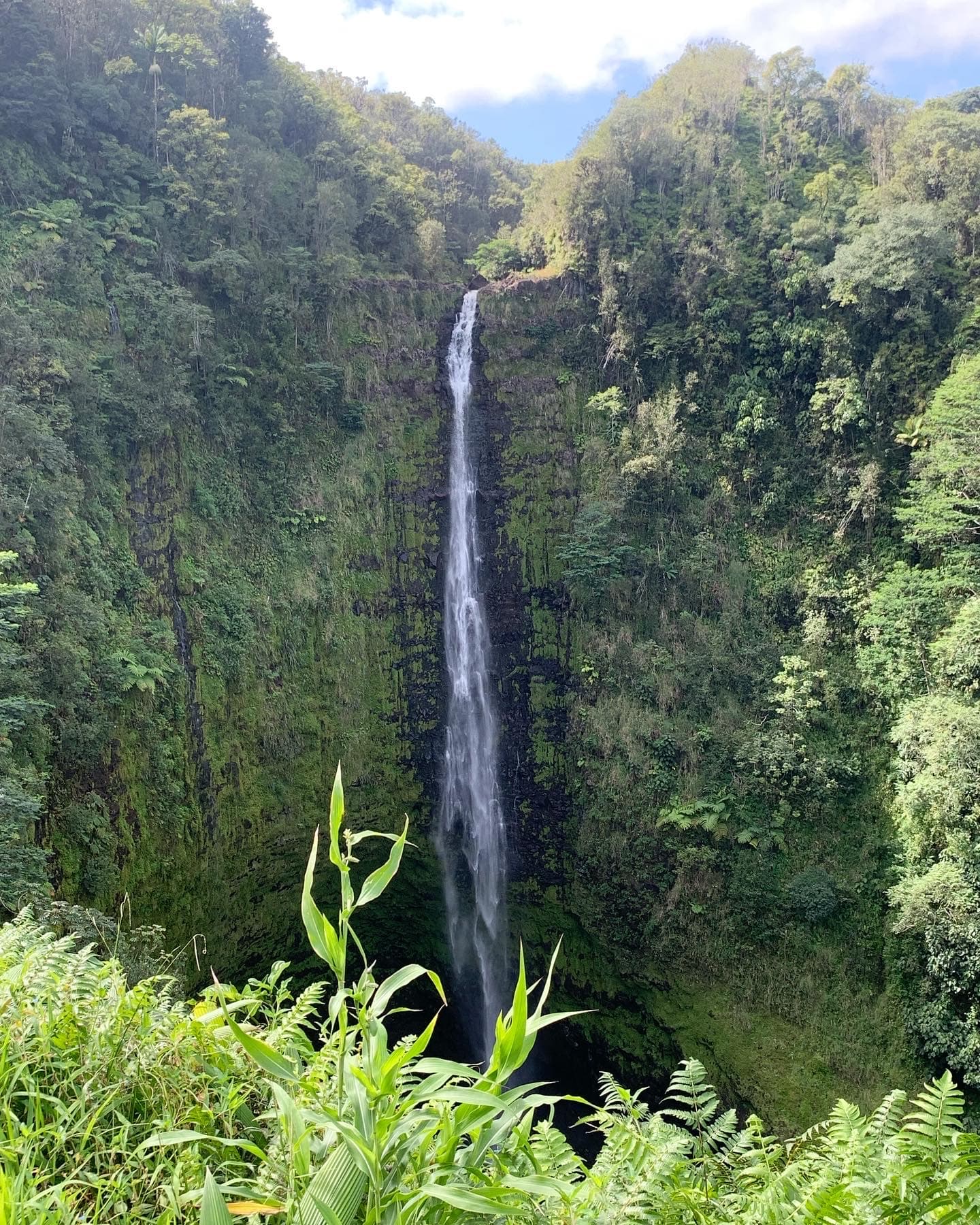 Advisor - Foodie's Guide to Luxury on Hawai’i's Kohala Coast