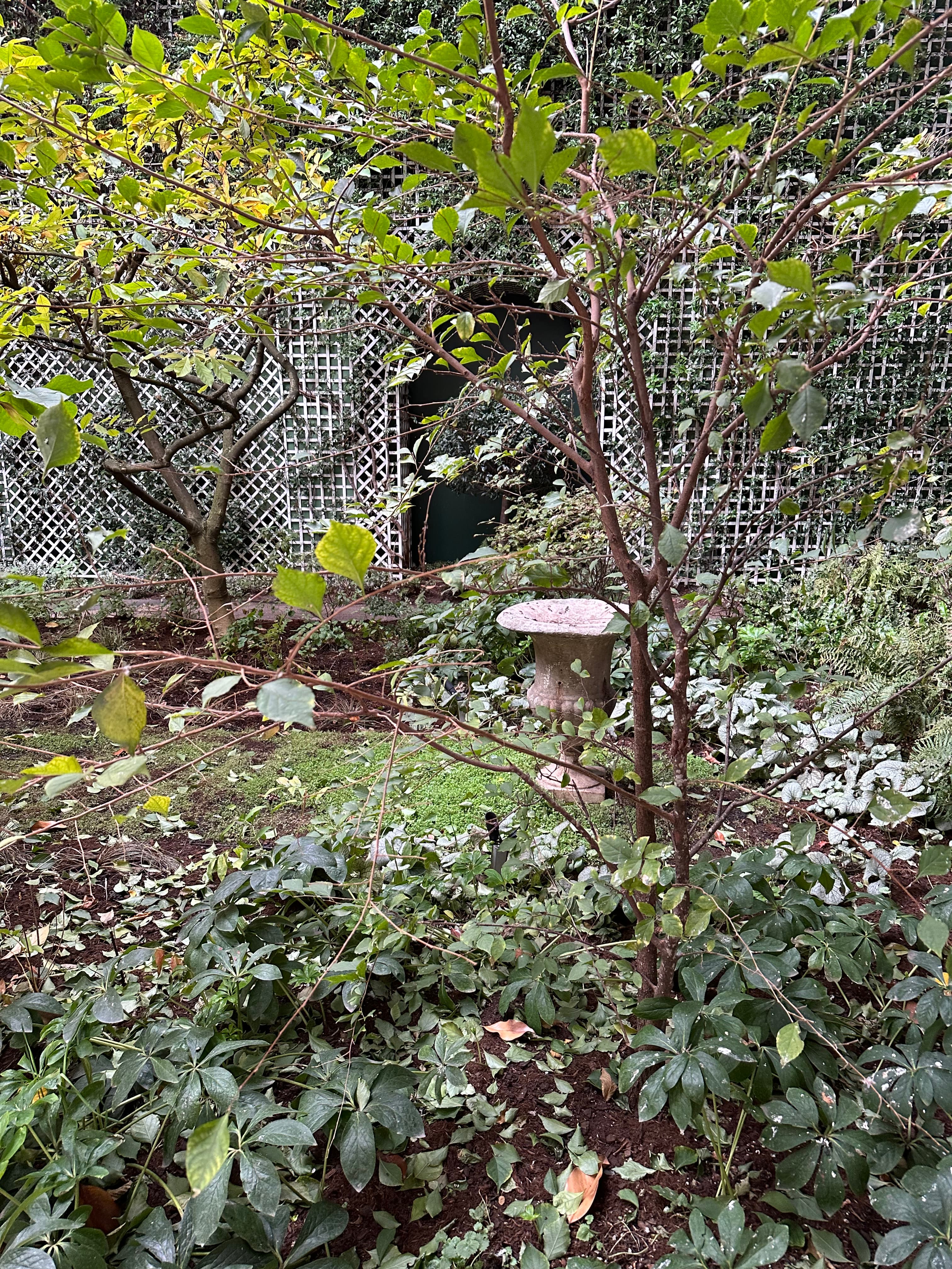 Picture of green plants in a bountiful garden