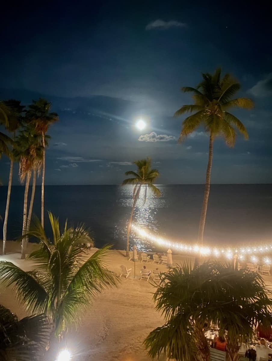 Sea and seaside view under moonlight