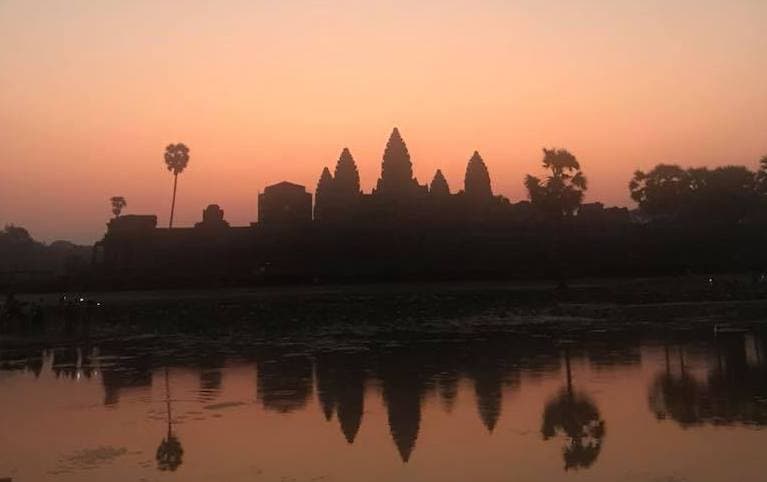 A beautiful picture of trees shadows in water at sunset