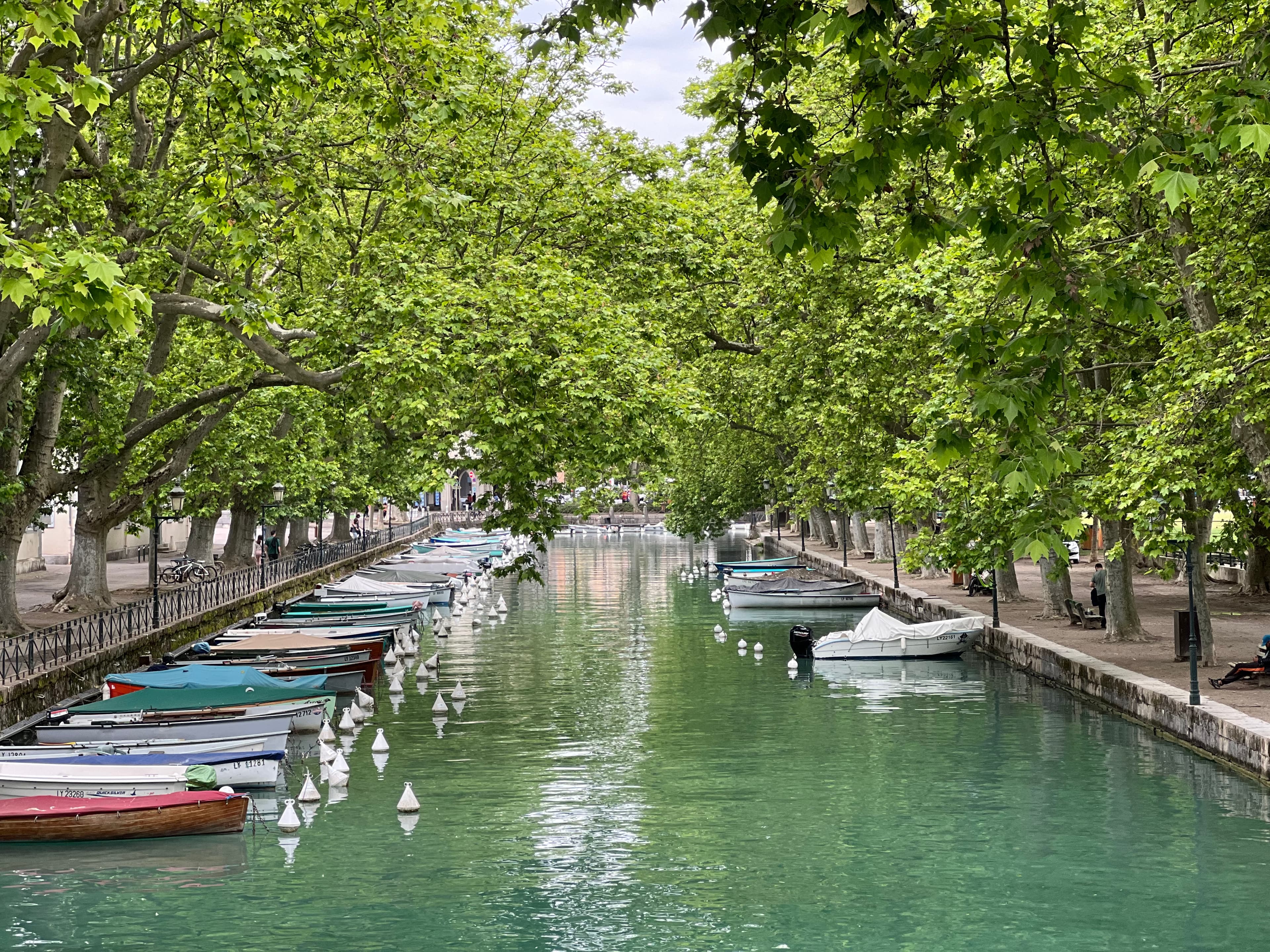 A beautiful view of canal with boats