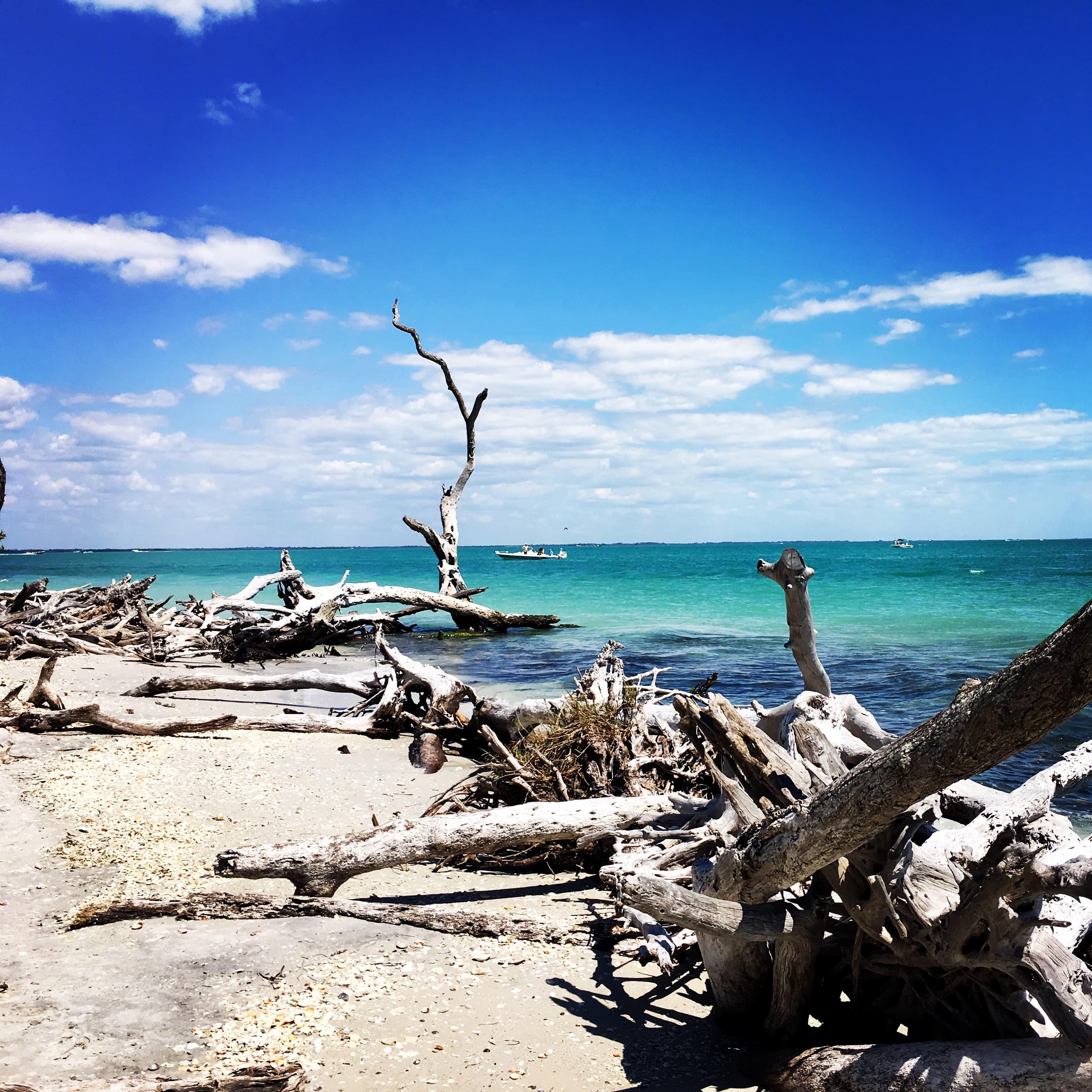 Sea and seaside view