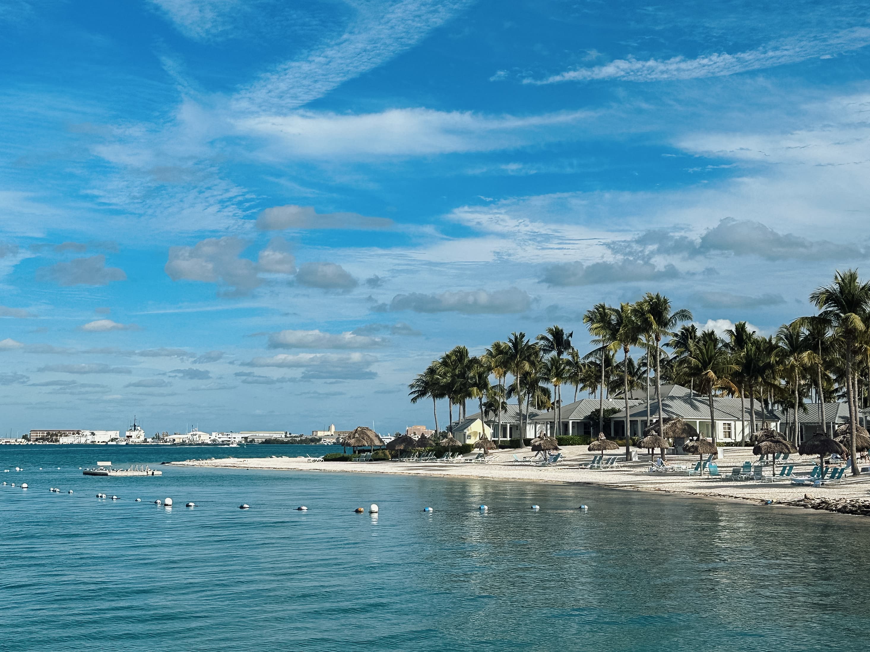 View of a beautiful beach, palm trees and blue water against the blue sky and clouds