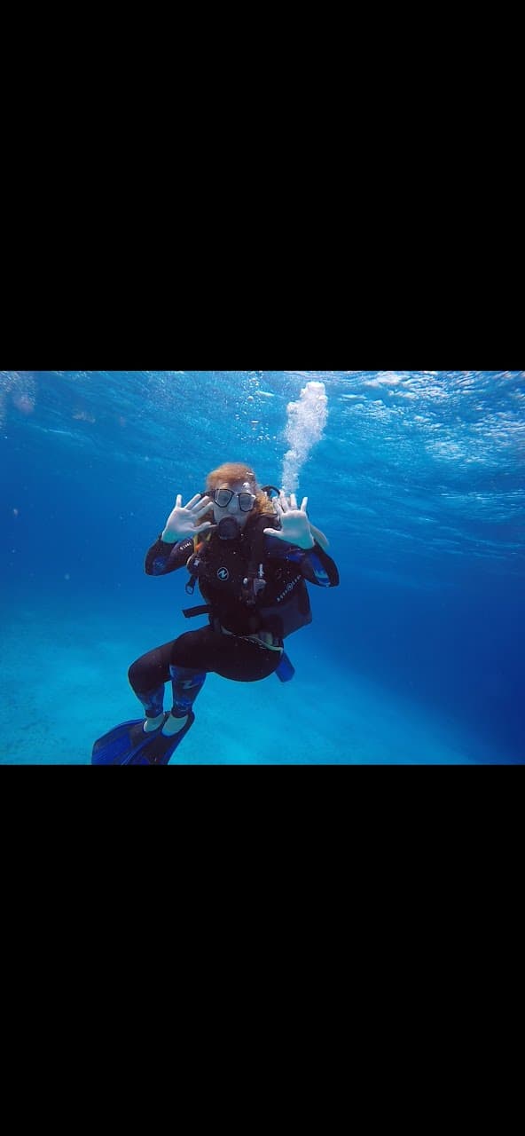 Scuba diving in the sea
