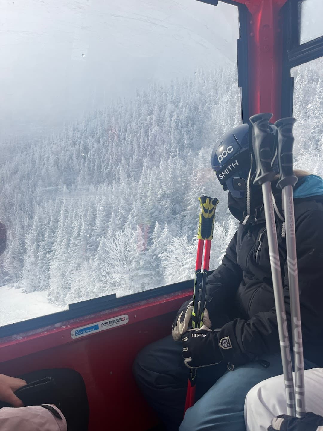 View in a snowy region