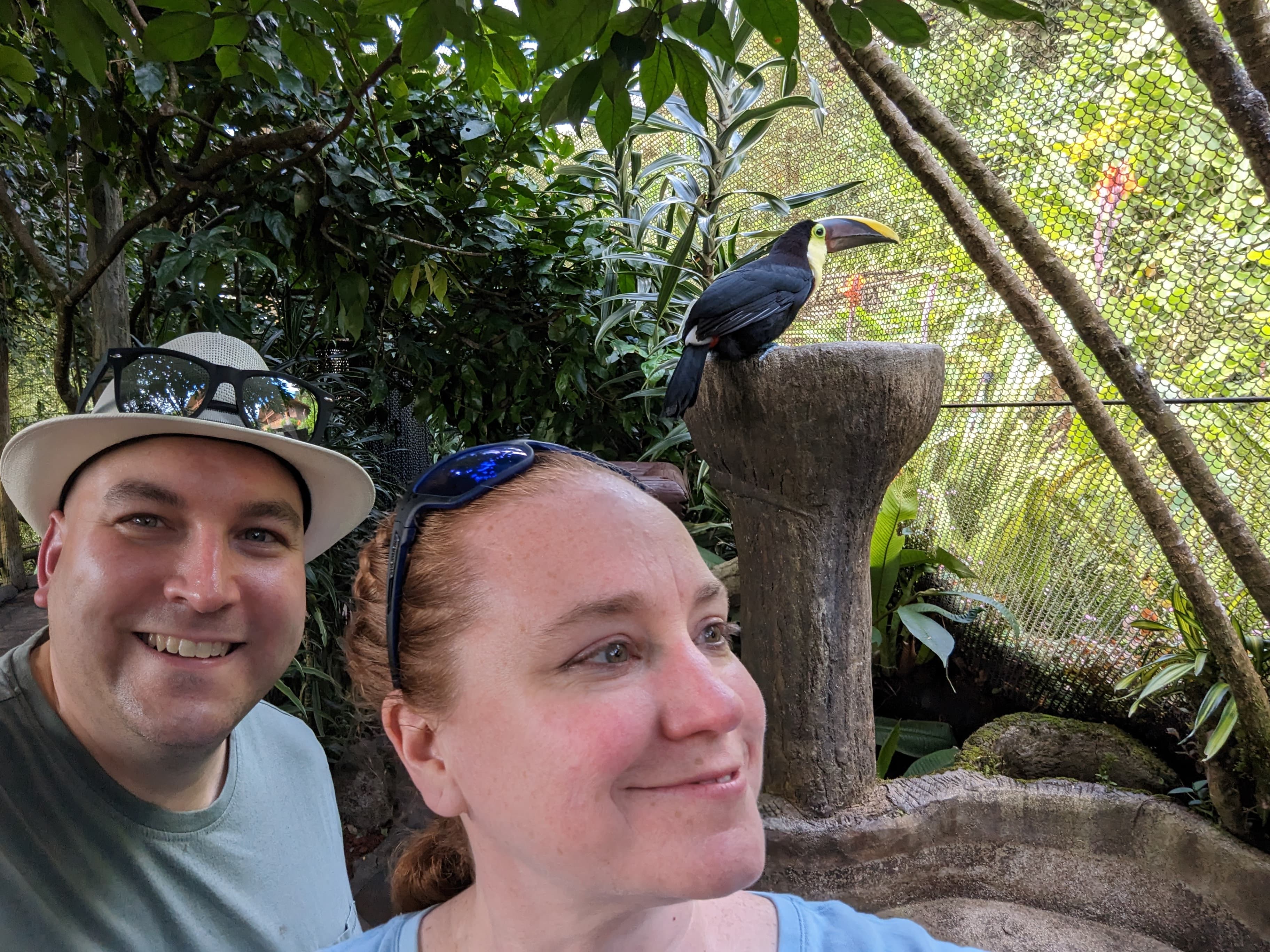 Couple posing in a rainforest.