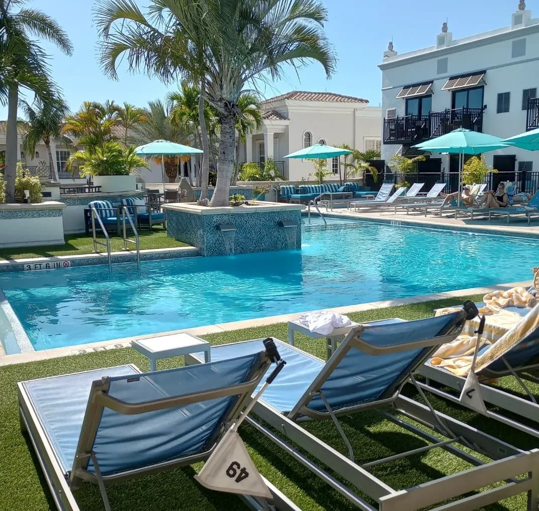 pool with lounge chairs and palm trees