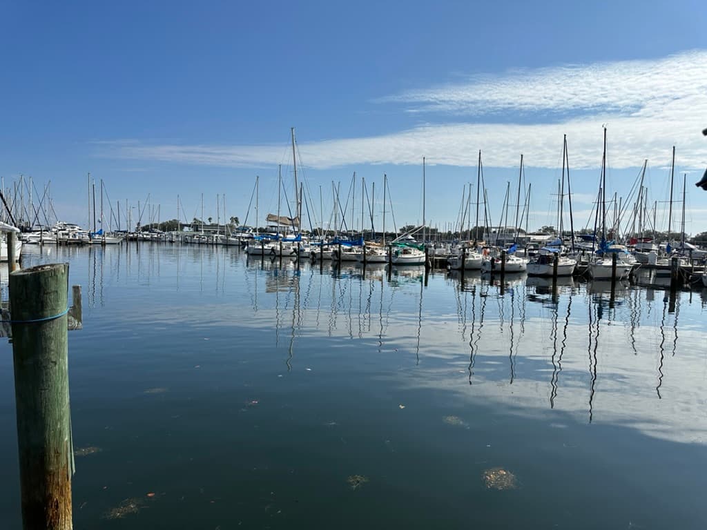harbor