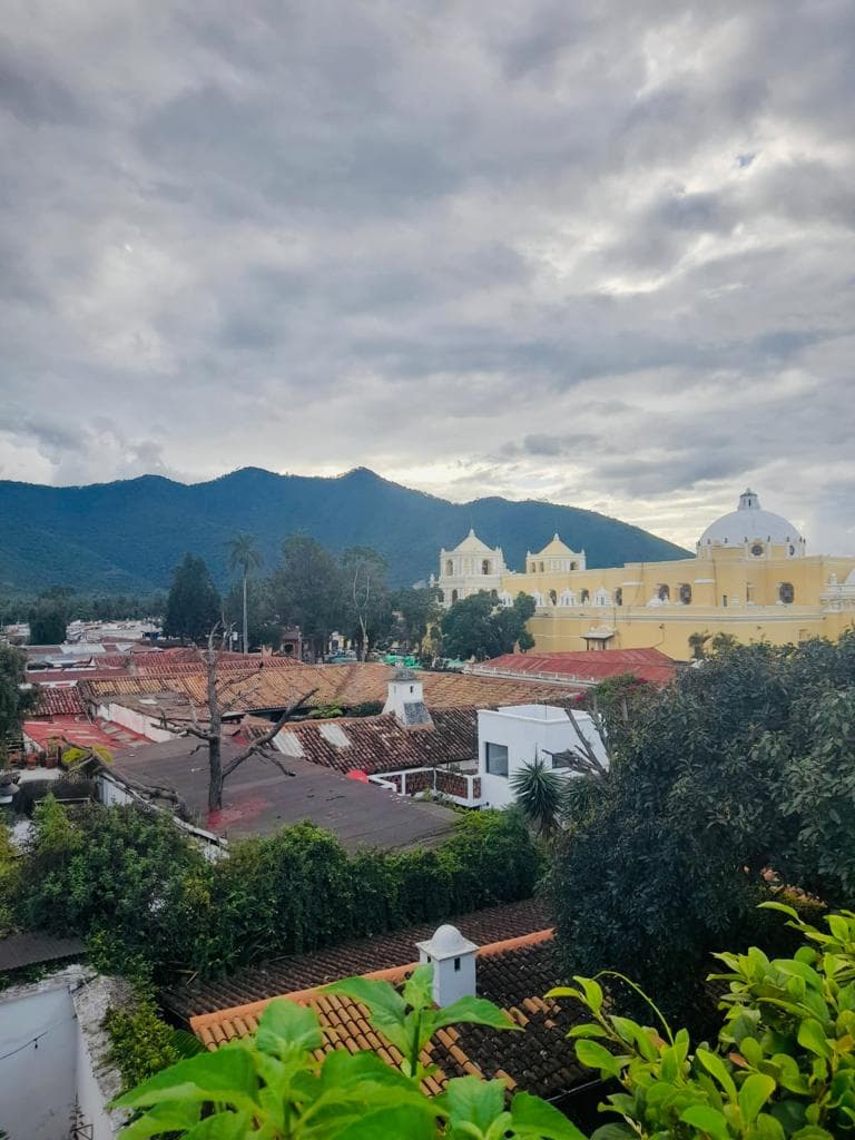 A beautiful view of houses