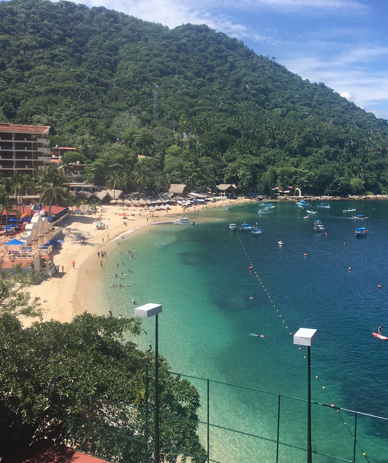 Cruise ships docked at a harbor on a sunny day