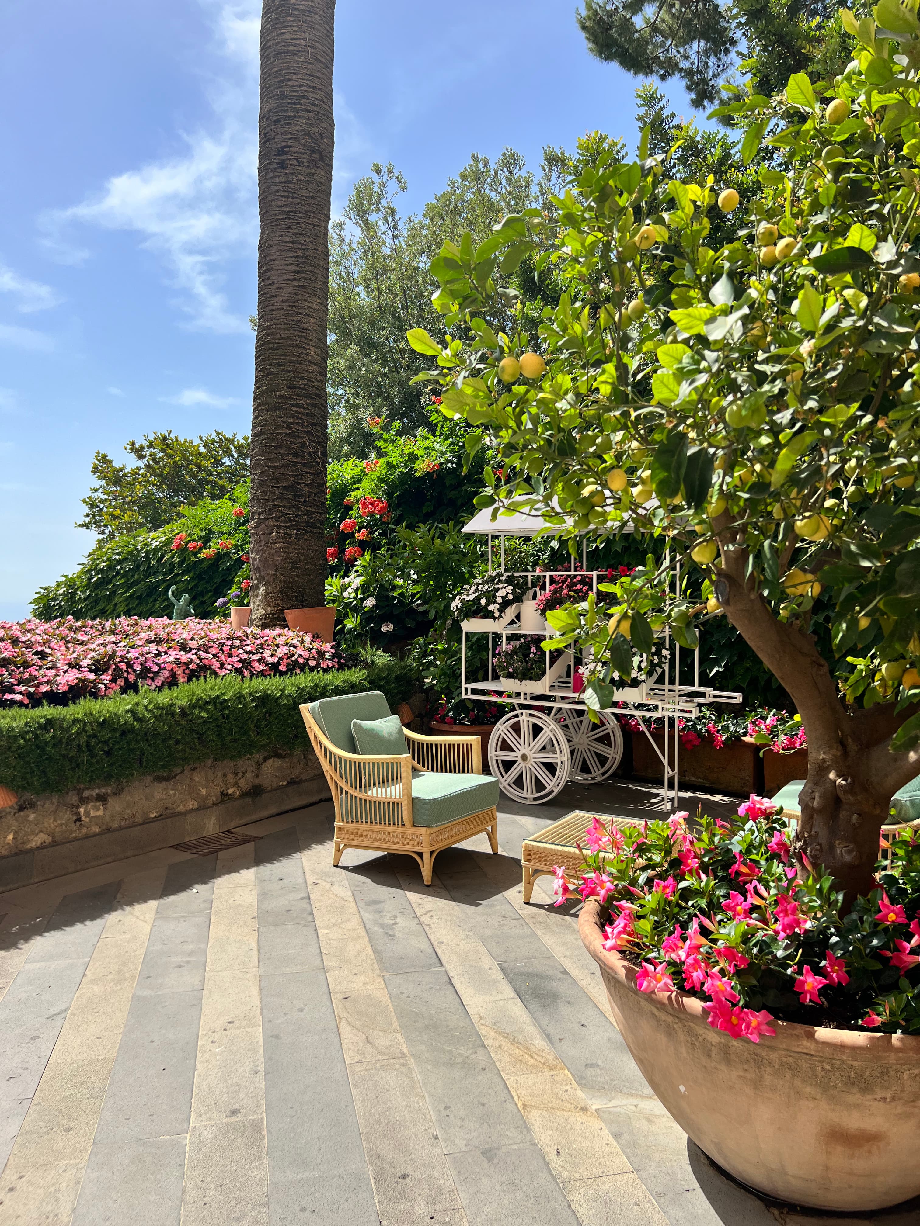 An outdoor view of a garden