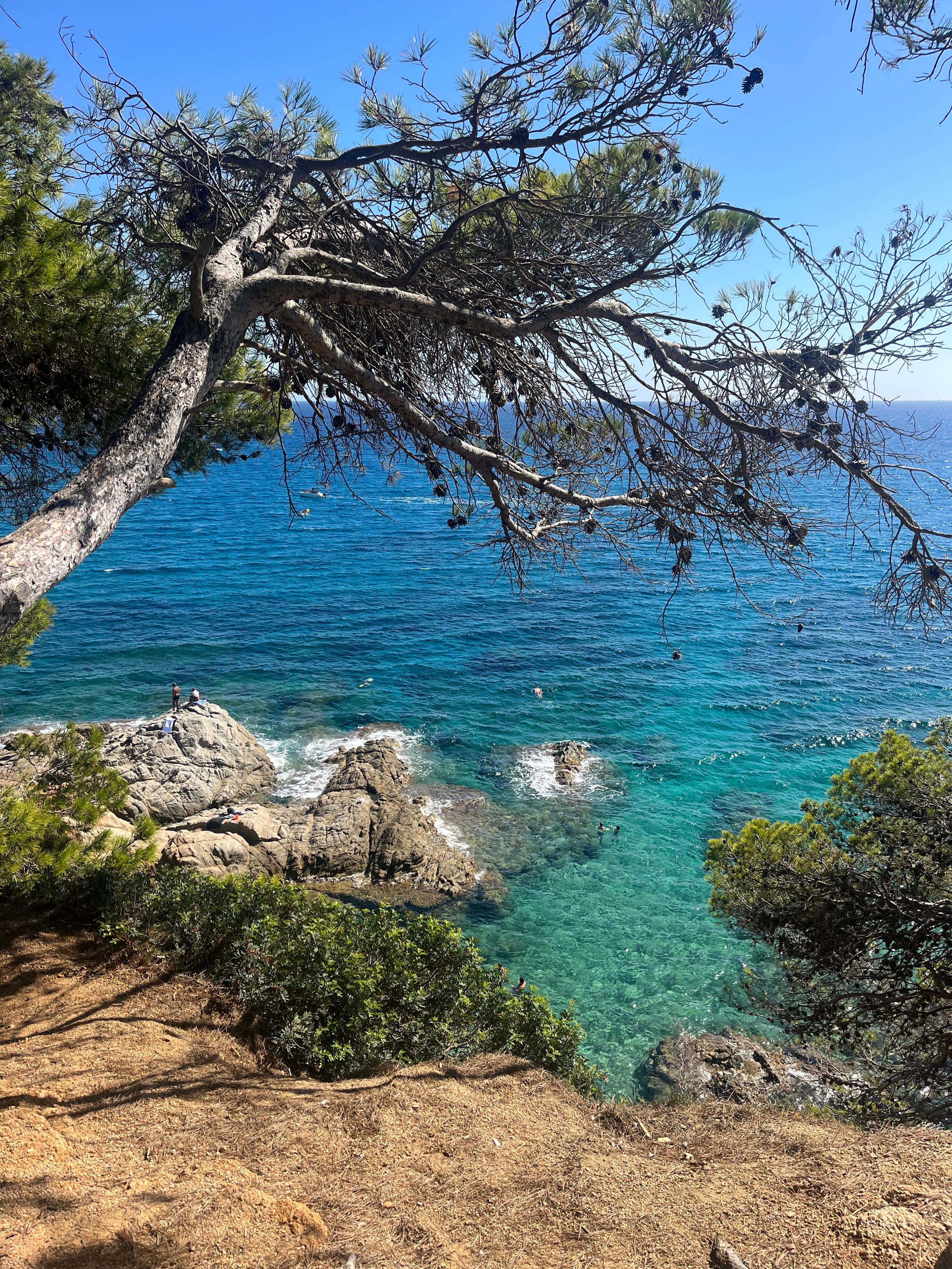 A beautiful view of sea