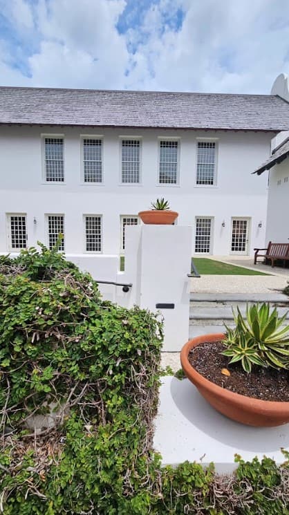 A view of potted green plants and a green bush in front of a white building with windows in the background.