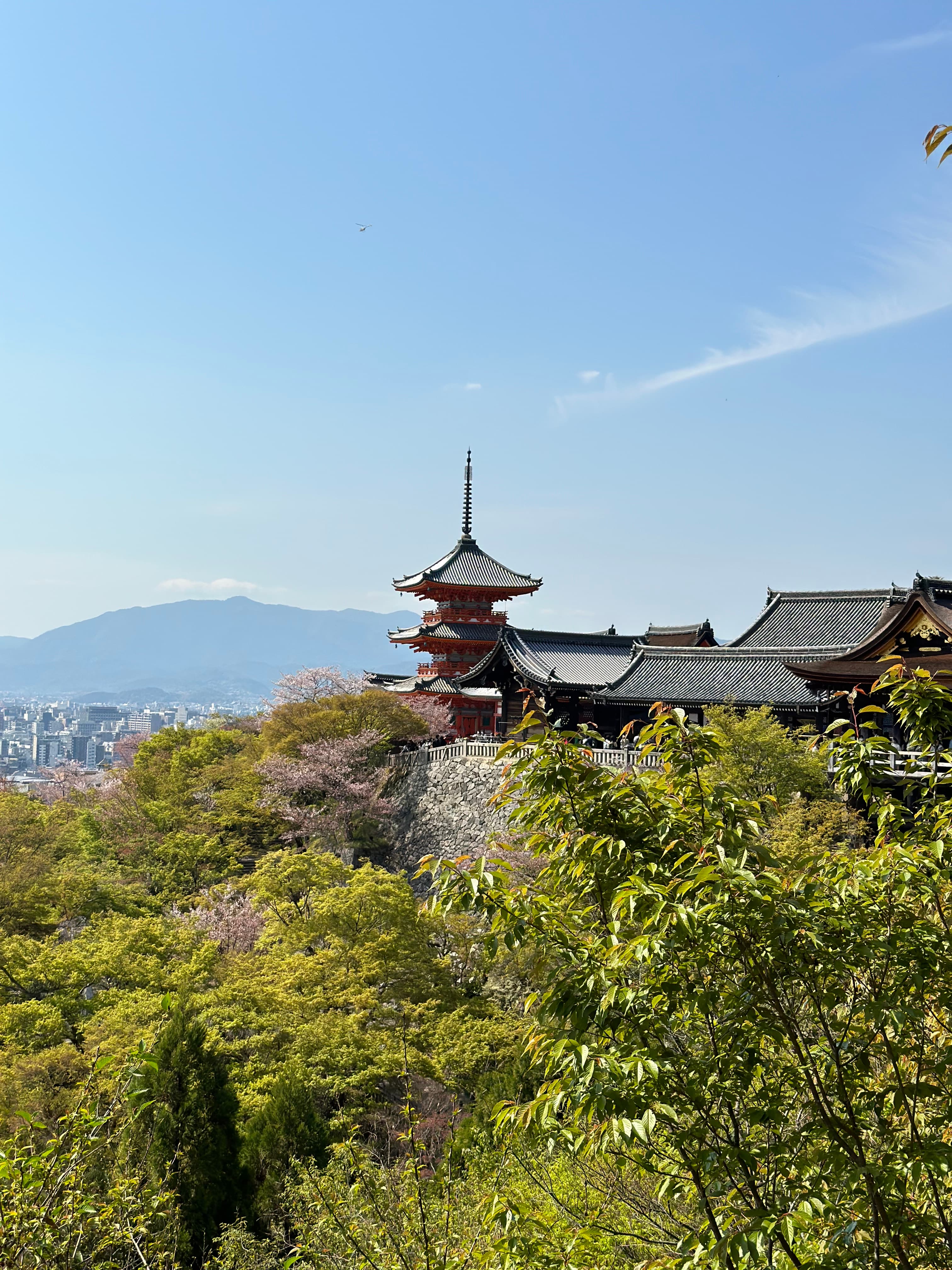 View of a building top and sky